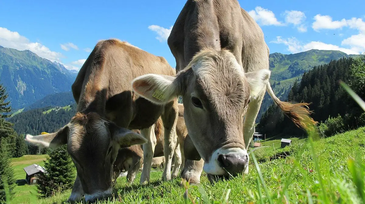OUTSIDEstories Unterwegs Tipp Wandern am Wilden Kaiser