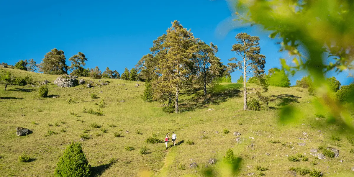 OUTSIDEstories Unterwegs-Tipp Altmühltal-Panoramaweg, Wandergruppe in der Gungoldinger Wacholderheide