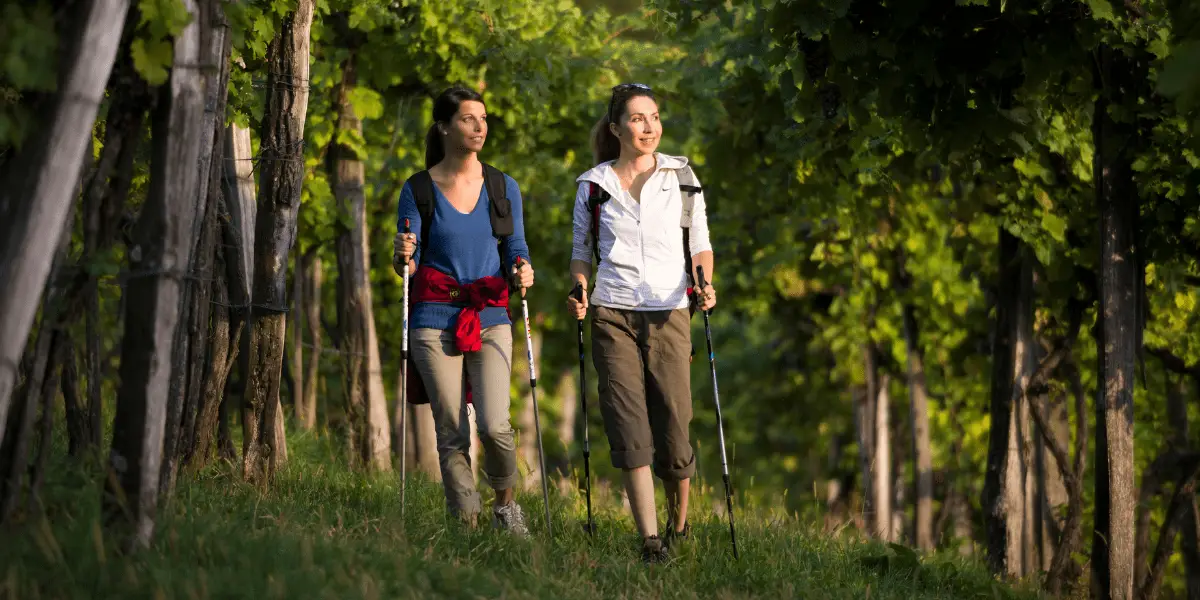  OUTSIDEstories Unterwegs-Tipp Genusswanderungen Südsteiermark, Wanderinnen zwischen Reben im Weingebiet