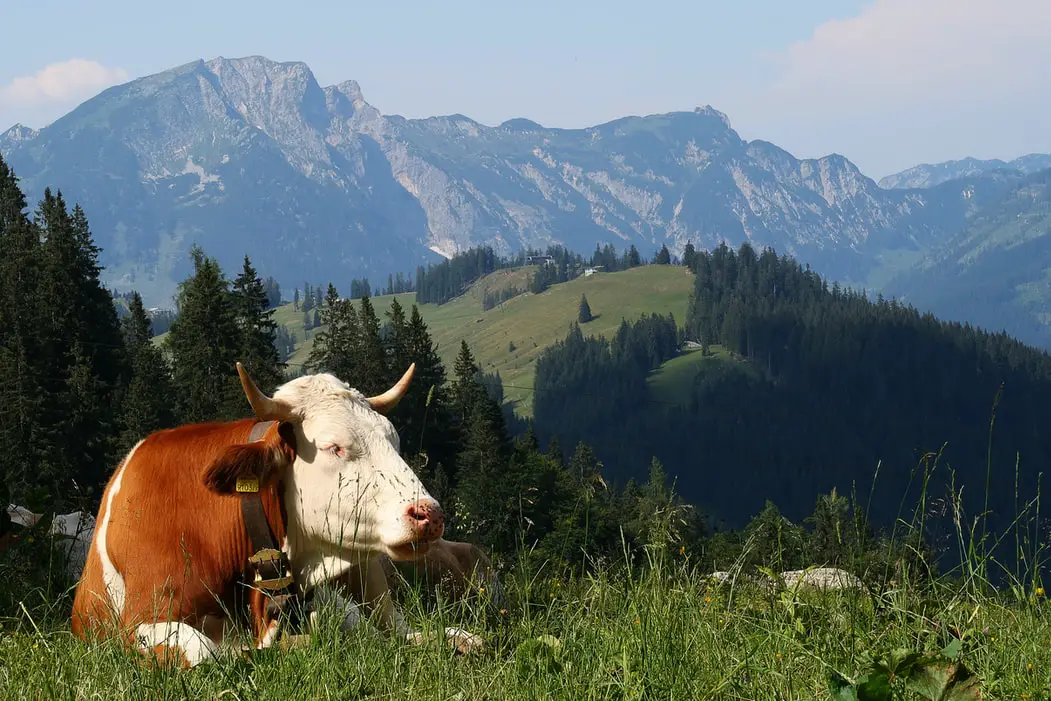 OUTSIDEstories Unterwegs Tipp Pfronten Allgäu