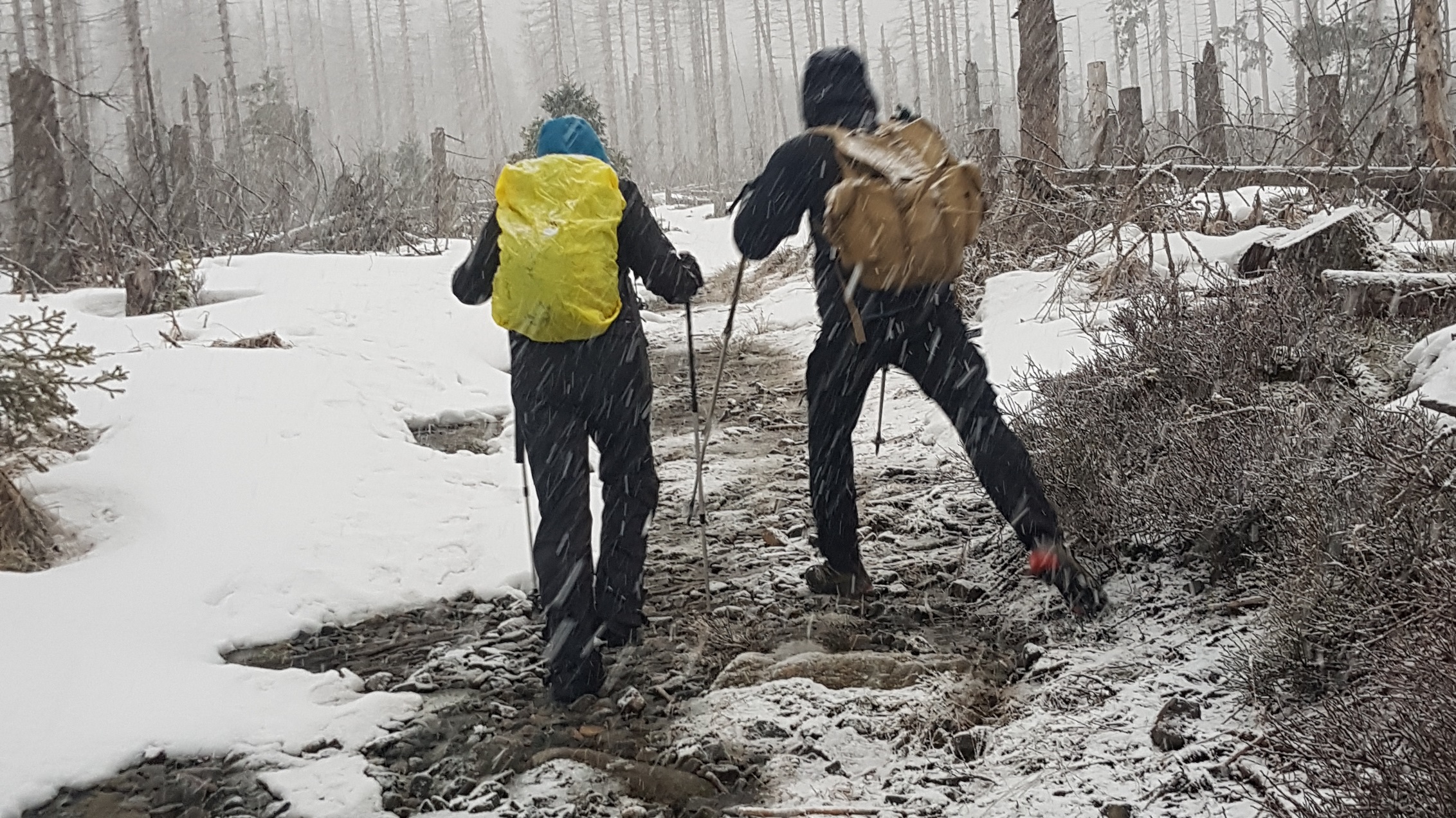 50 K im Harz 5
