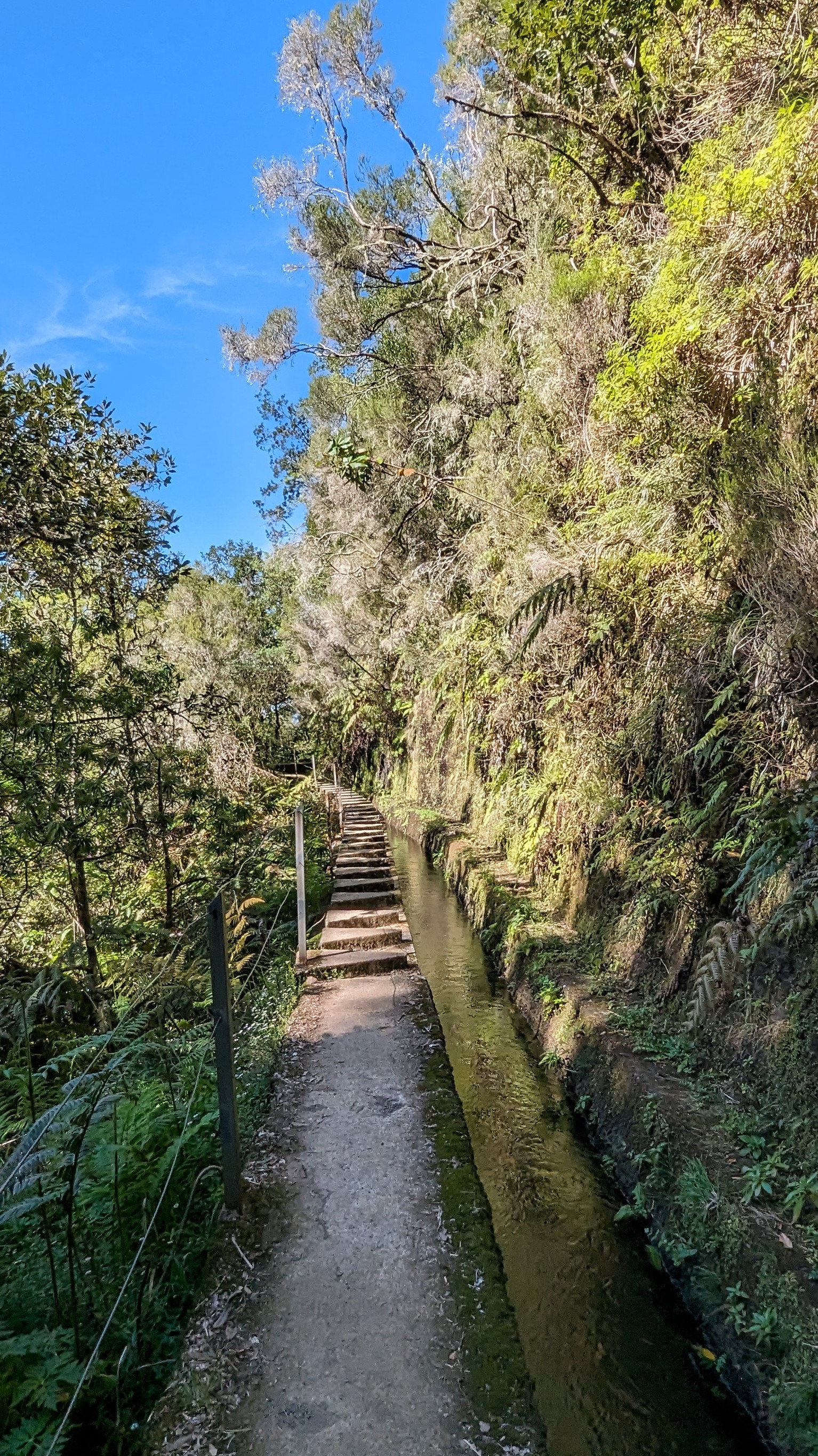 Levada