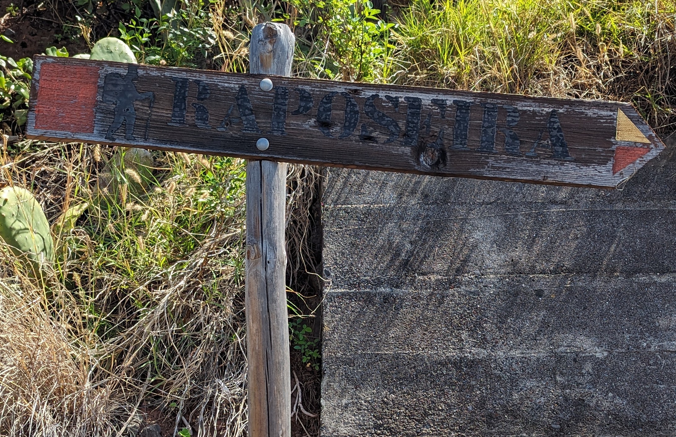 Schild