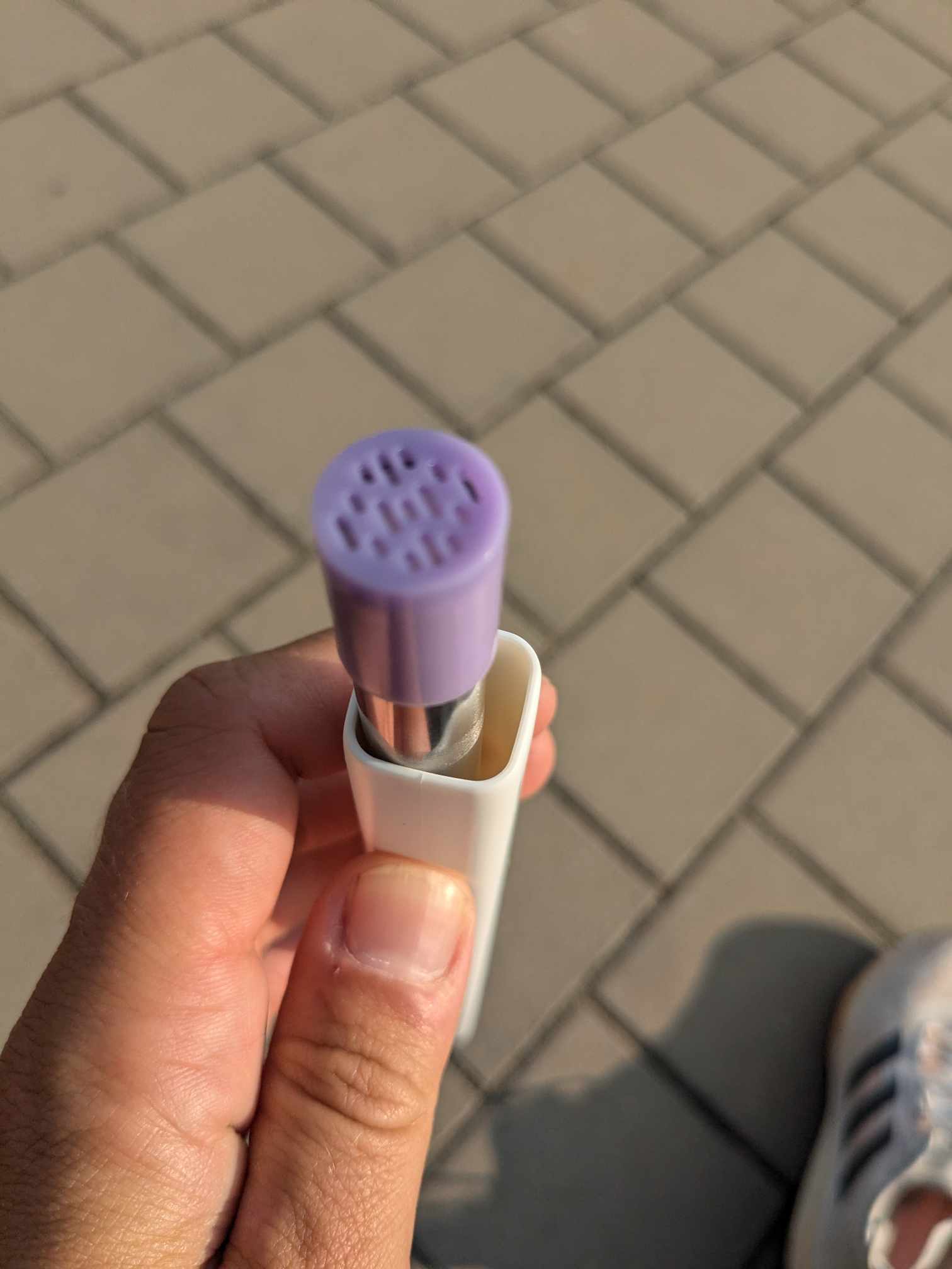 Man sieht den Filter in der Box