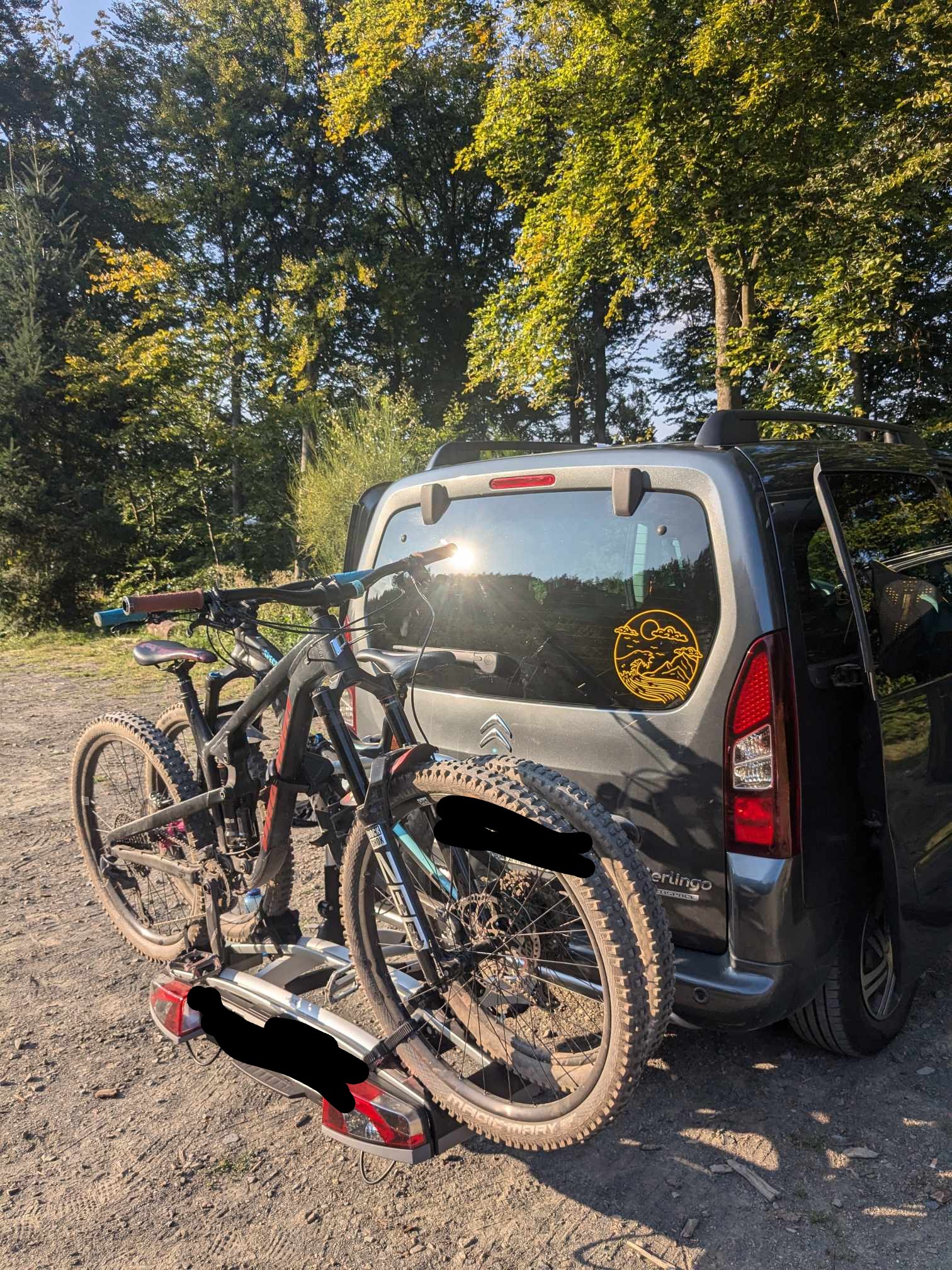 Man sieht zwei Mountainbikes auf dem Träger 