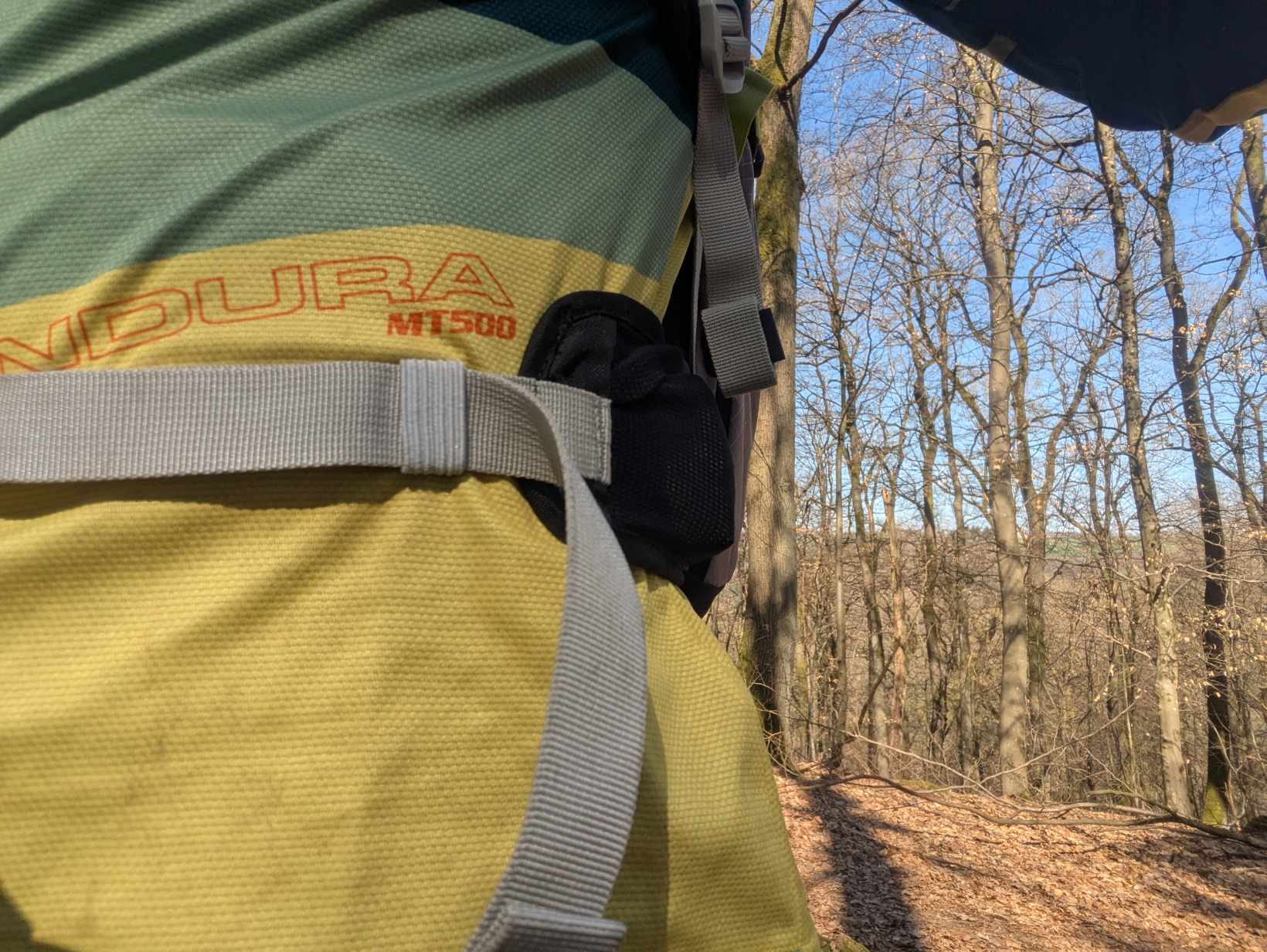 Man sieht die geschlossenen Huftflossen