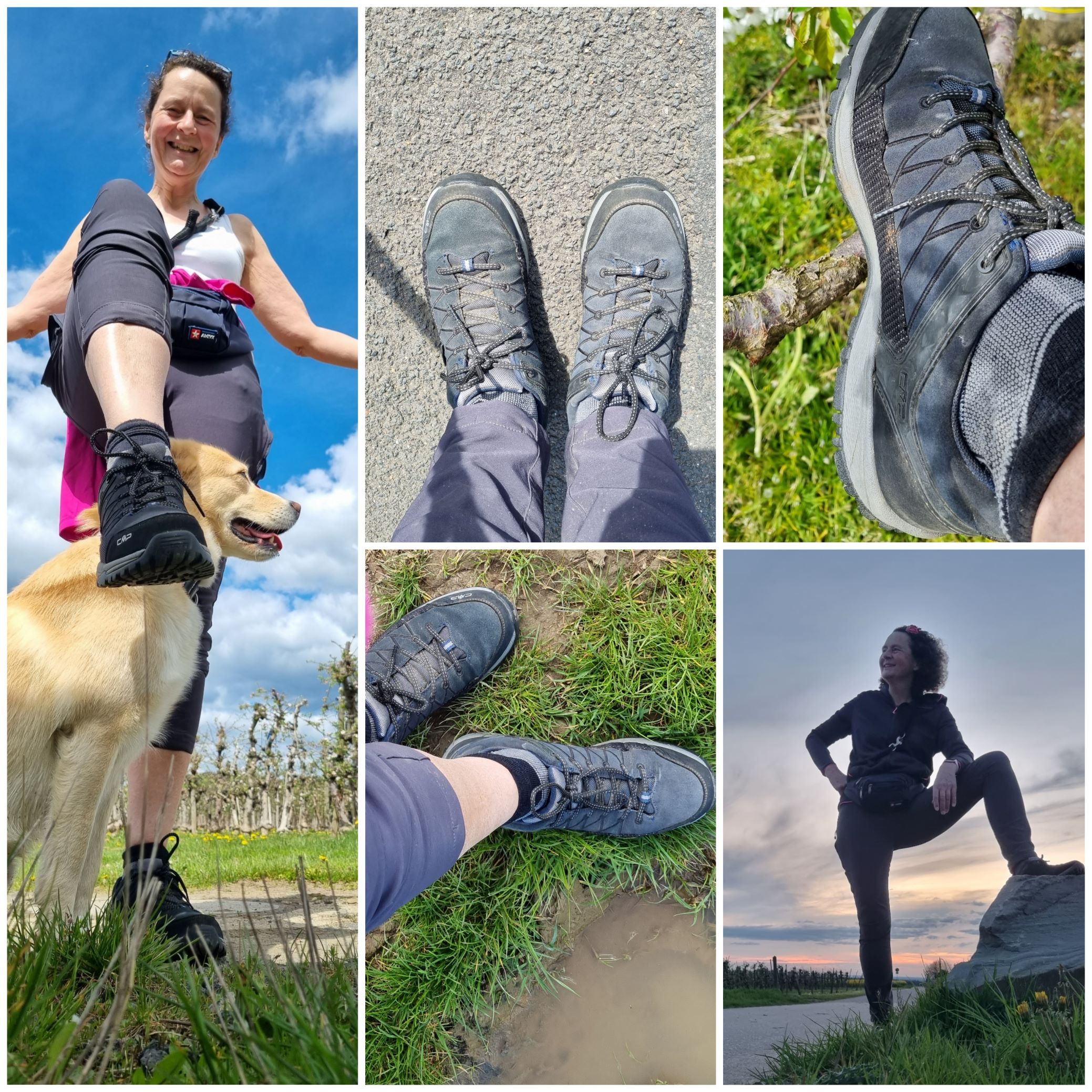Unterwegs mit Hund