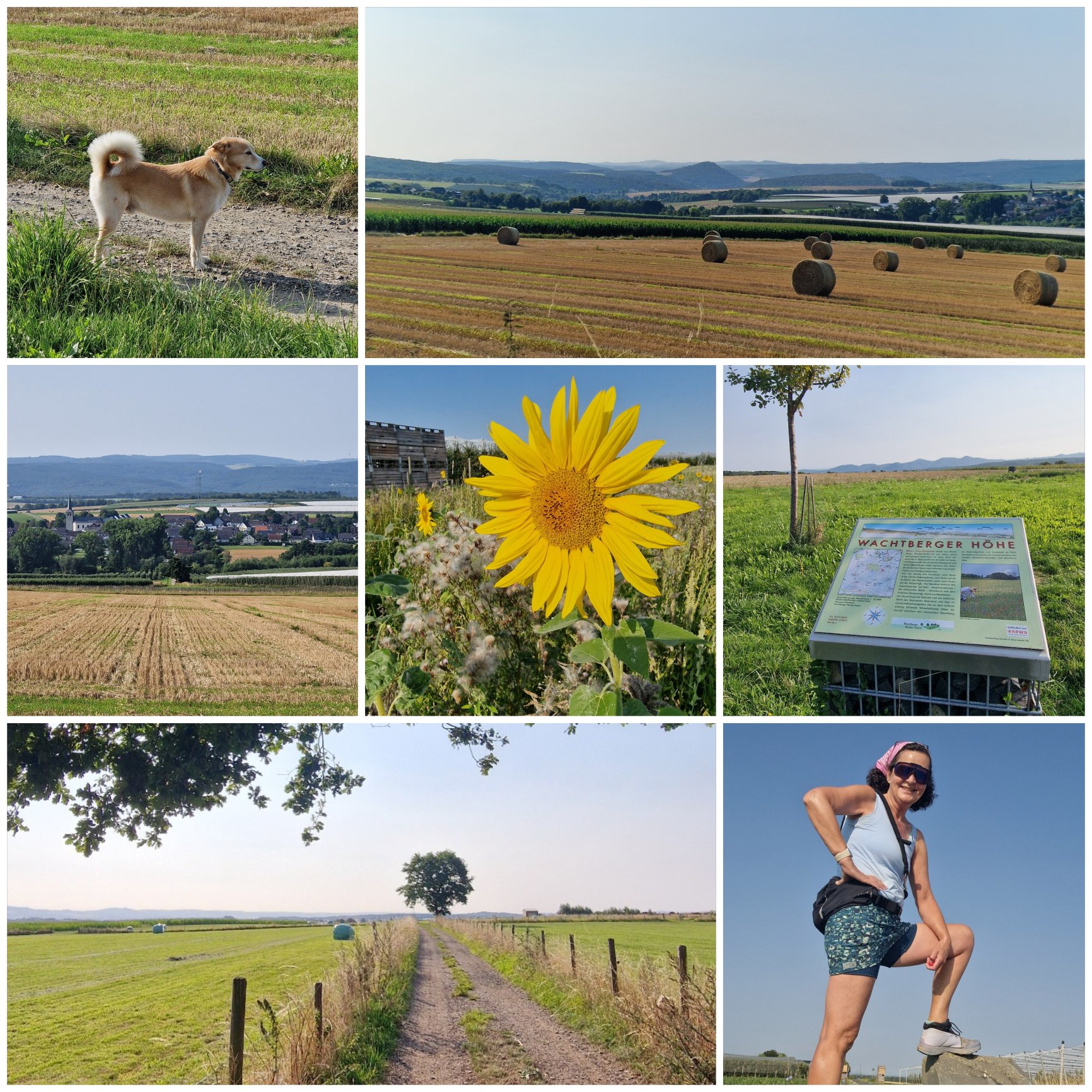 jeden Tag wandern in der schönen Heimat
