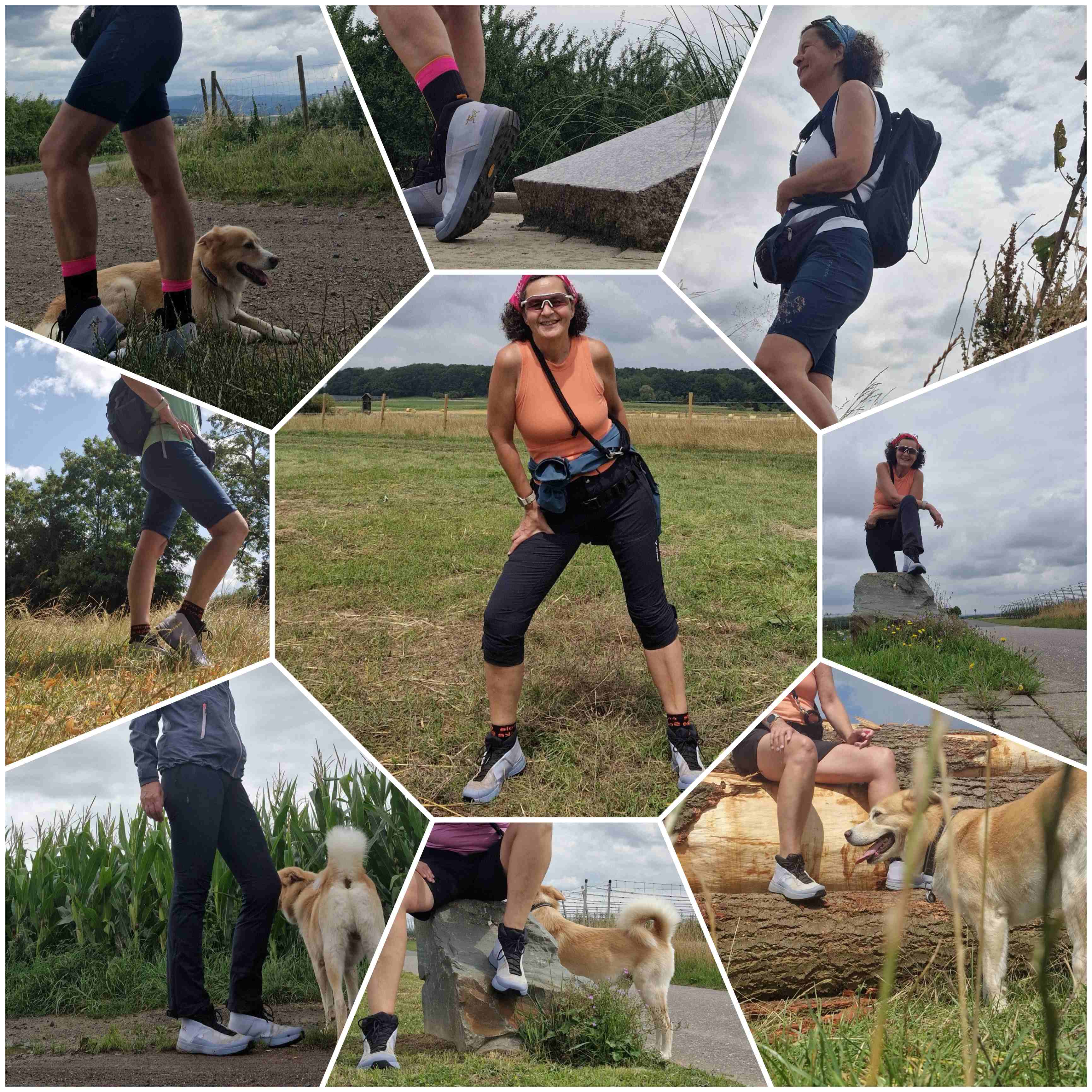 Unterwegs mit Hund