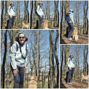 Wandern mit Hund
