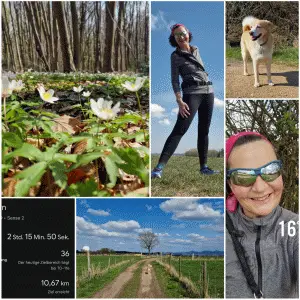 Der kompetente OUTSIDEstories-Test: RUDY PROJECT Sydus Teal Matte- RP Optics Multilaser Osmium - Sonnenbrille