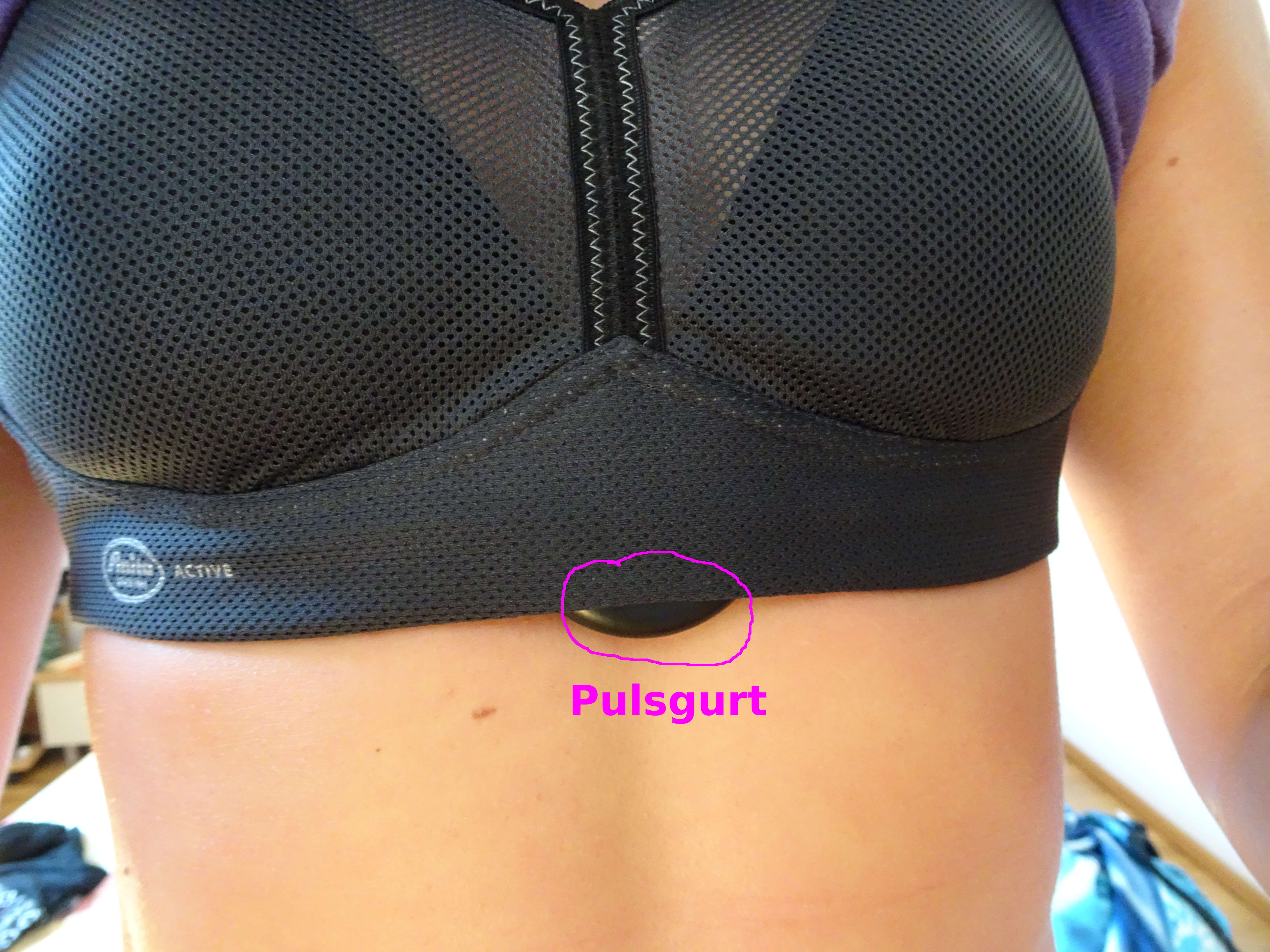Pulsgurt