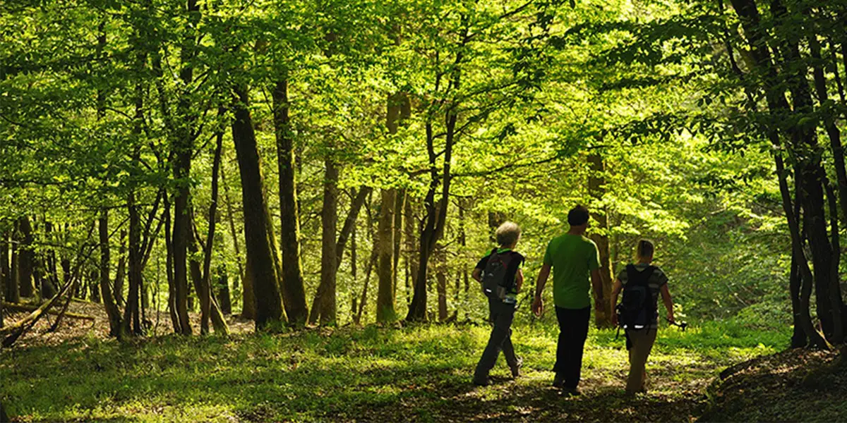 4_monte-preso-buchenwald Wisper Trails