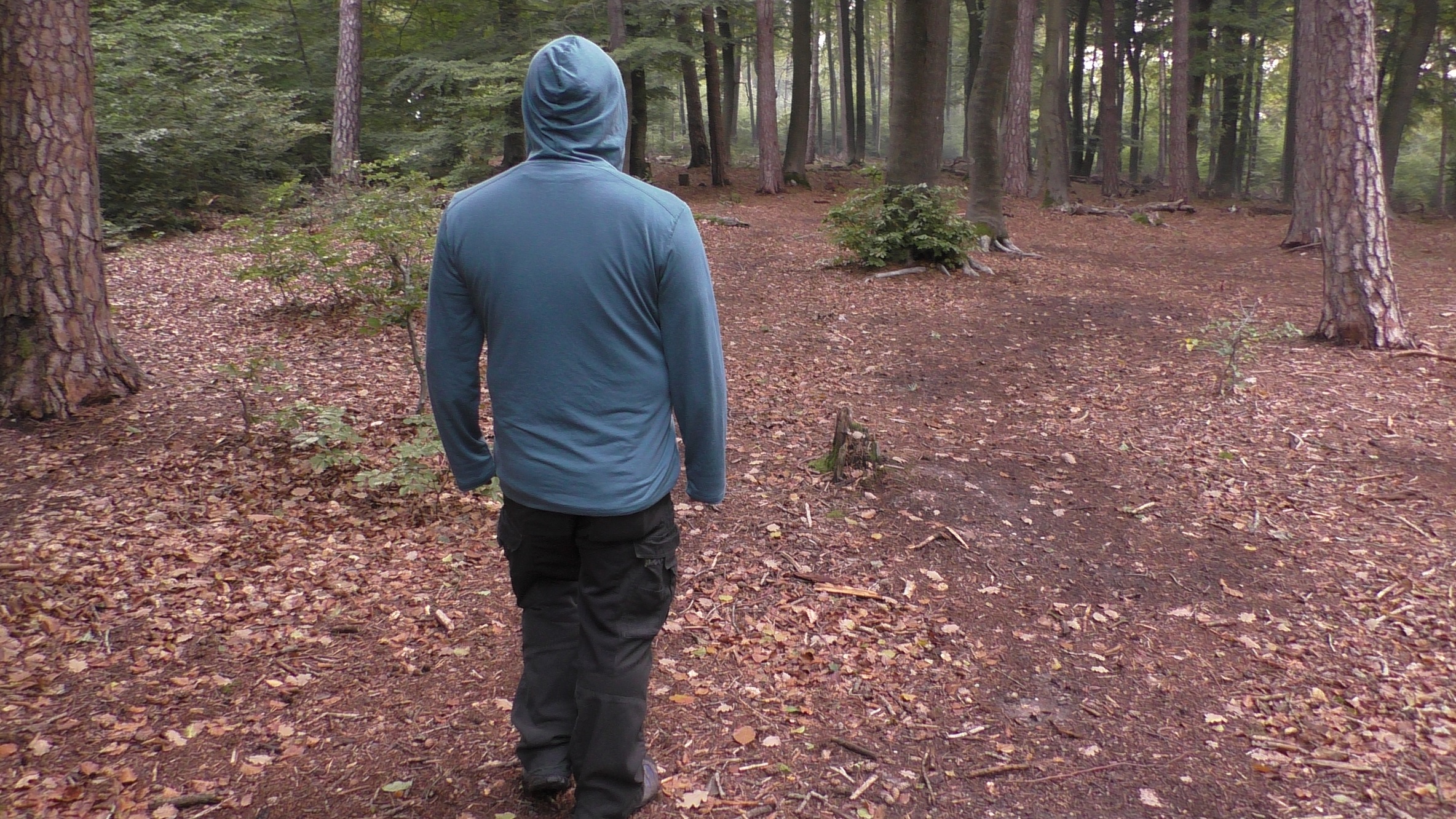 Hoody von hinten