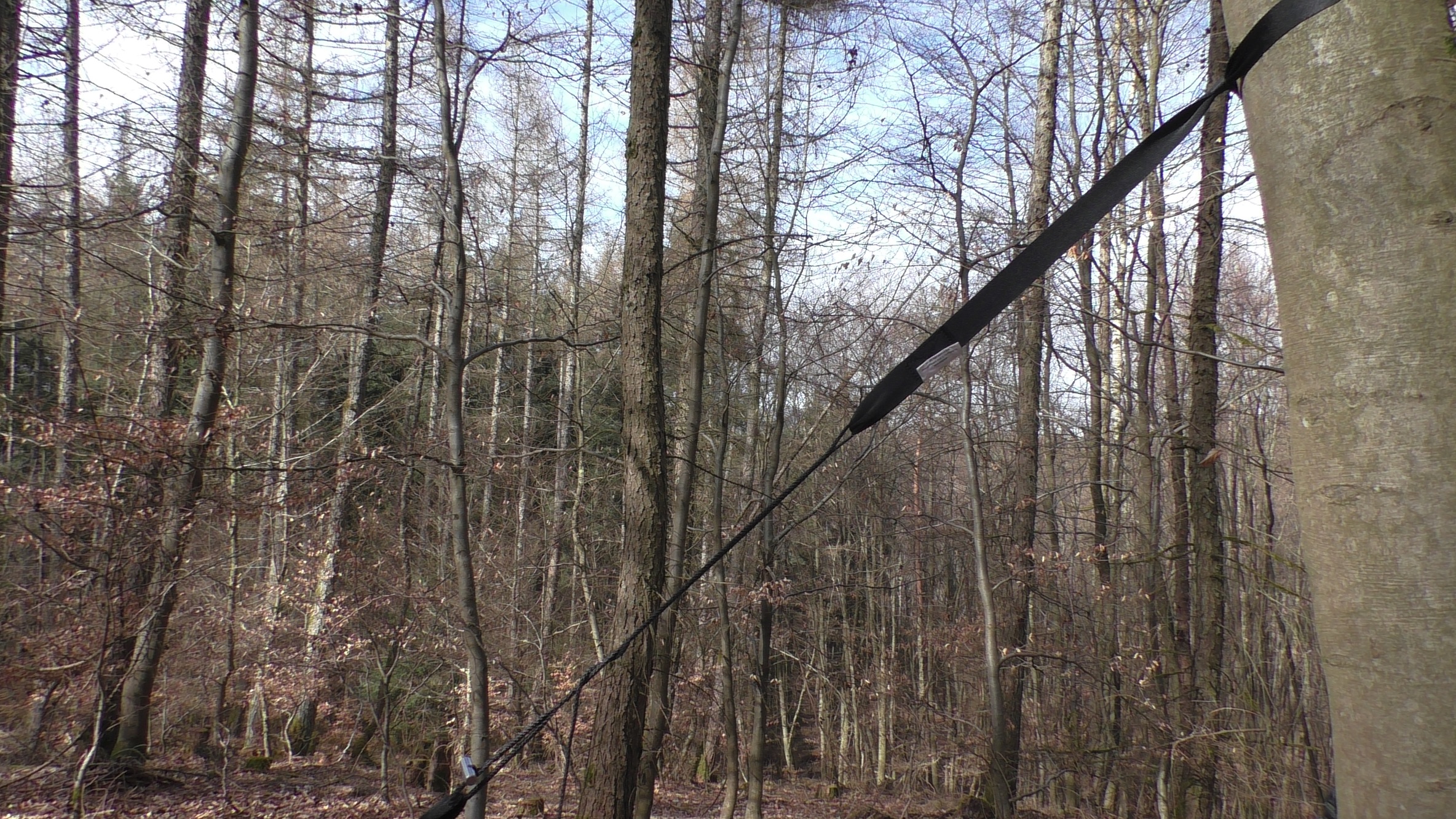 Aufhängung