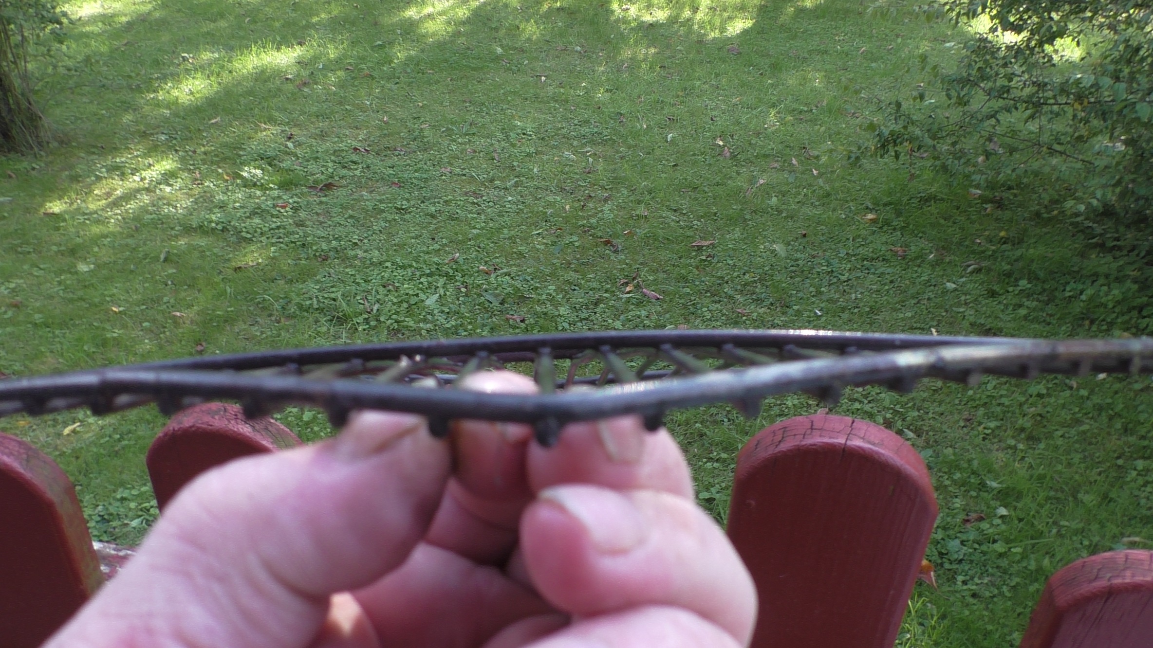 Rost