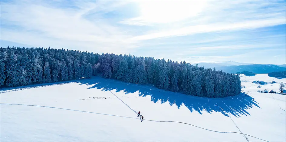 Schneeschuh-Touren Schwarzwald