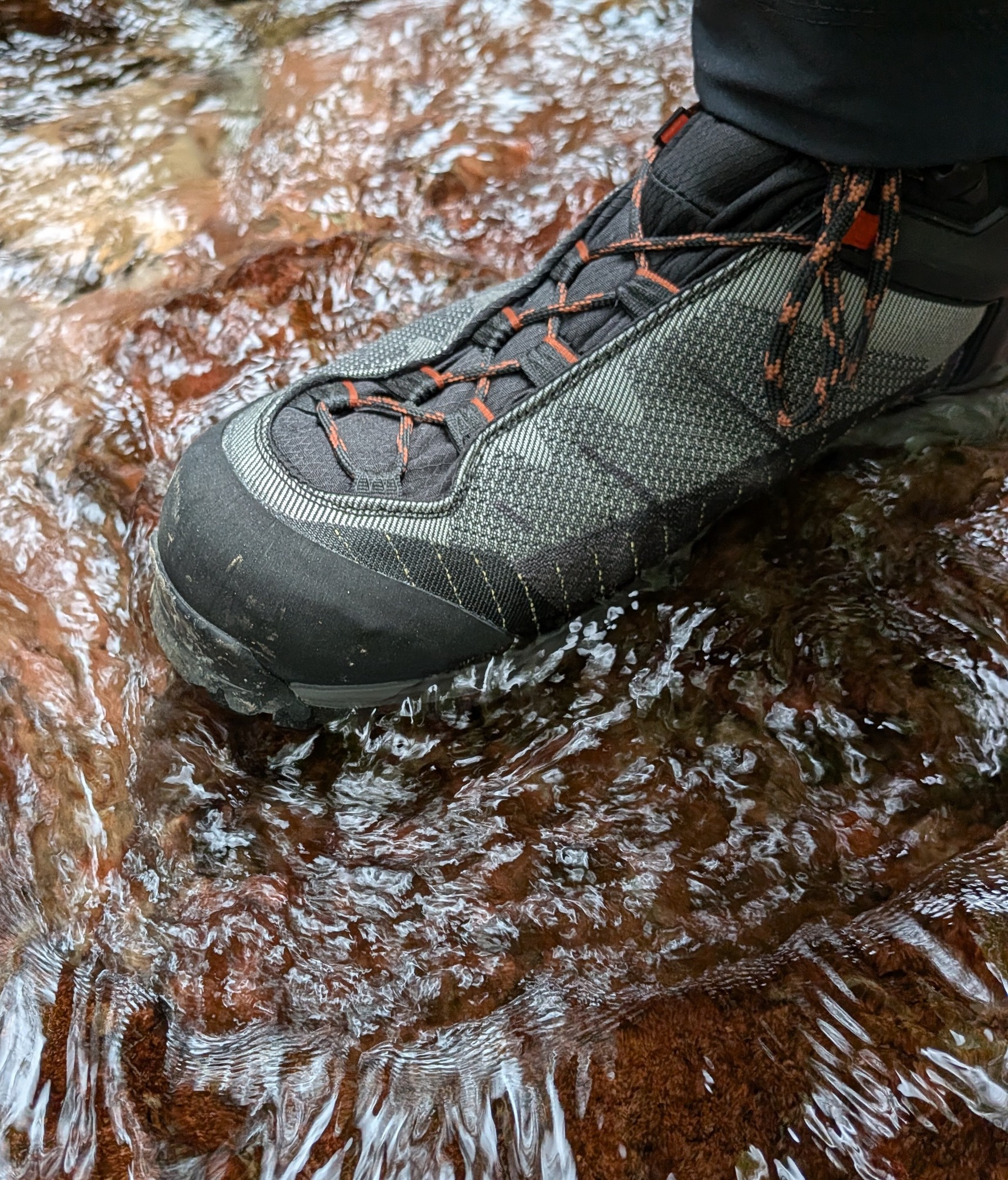 Schuh im Bach