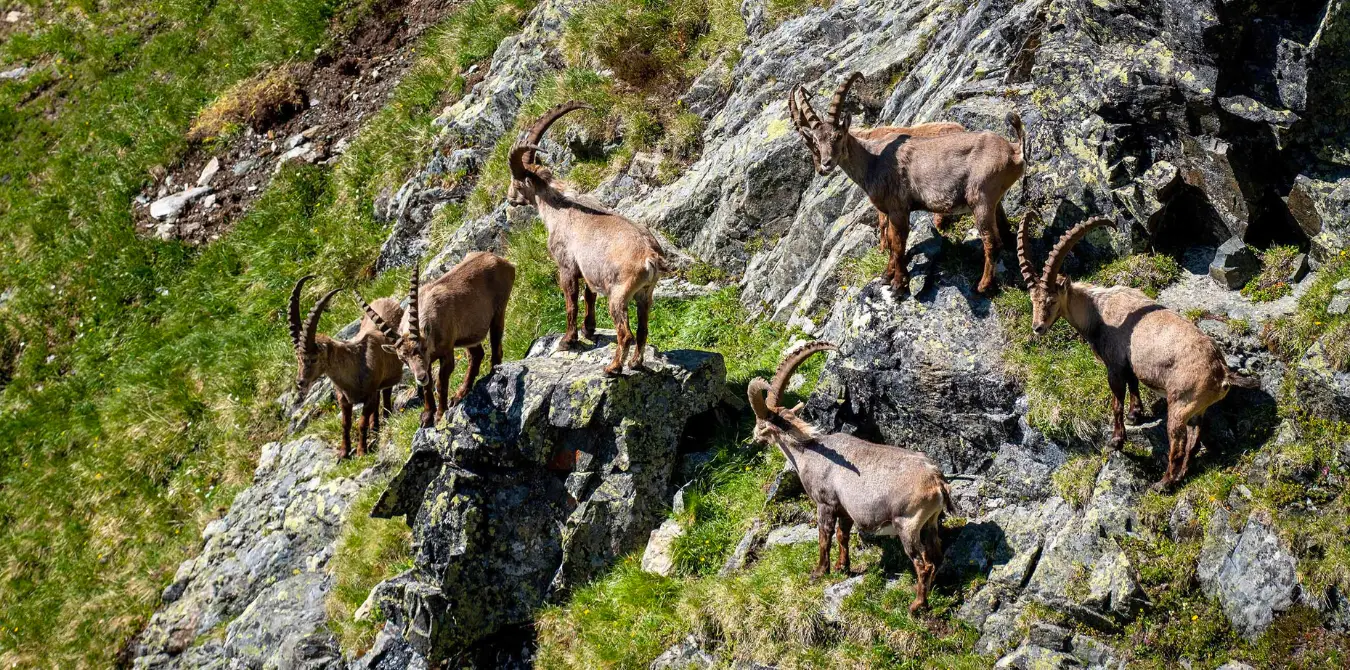Der OUTSIDEstories-Unterwegstipp: Das Pitztal in Tirol 