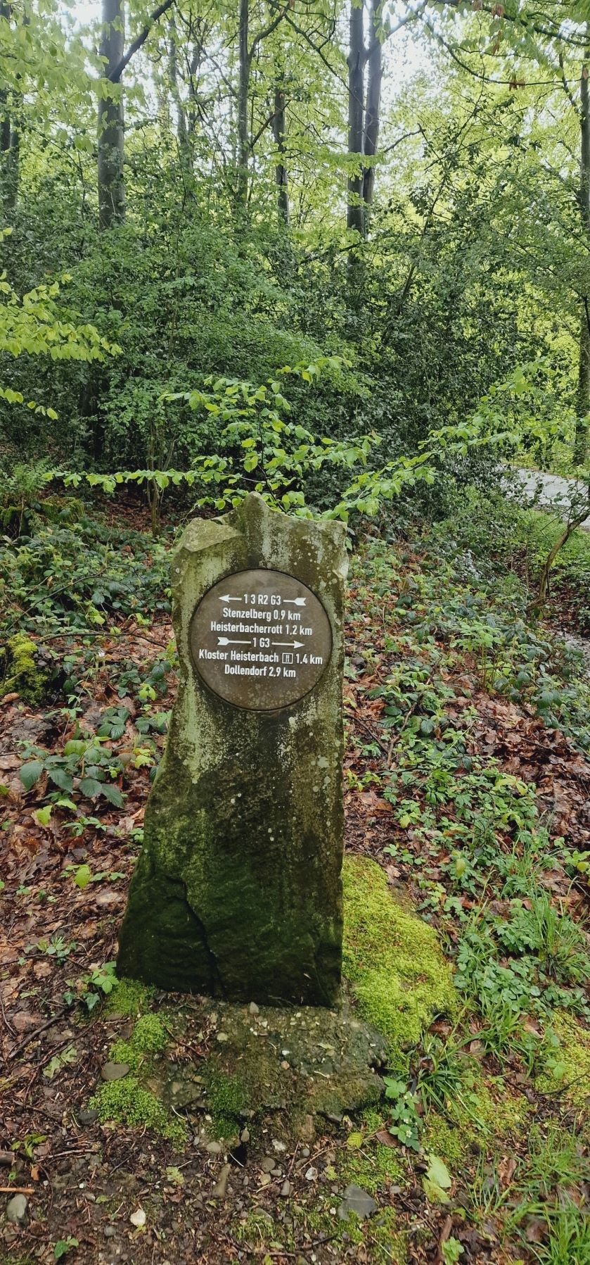 Unterwegs im Siebengebirge