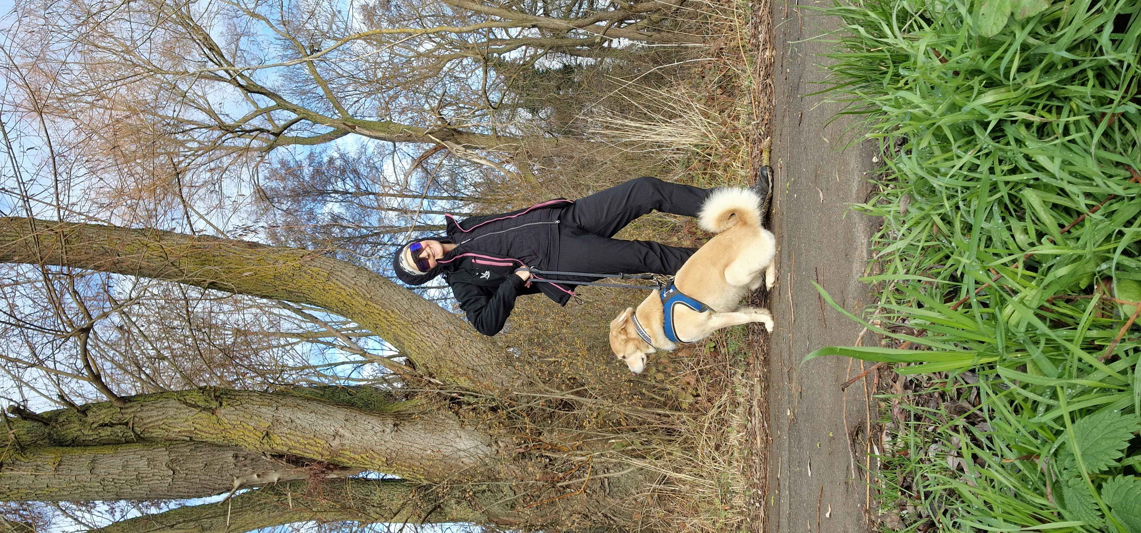Wandern mit Hund