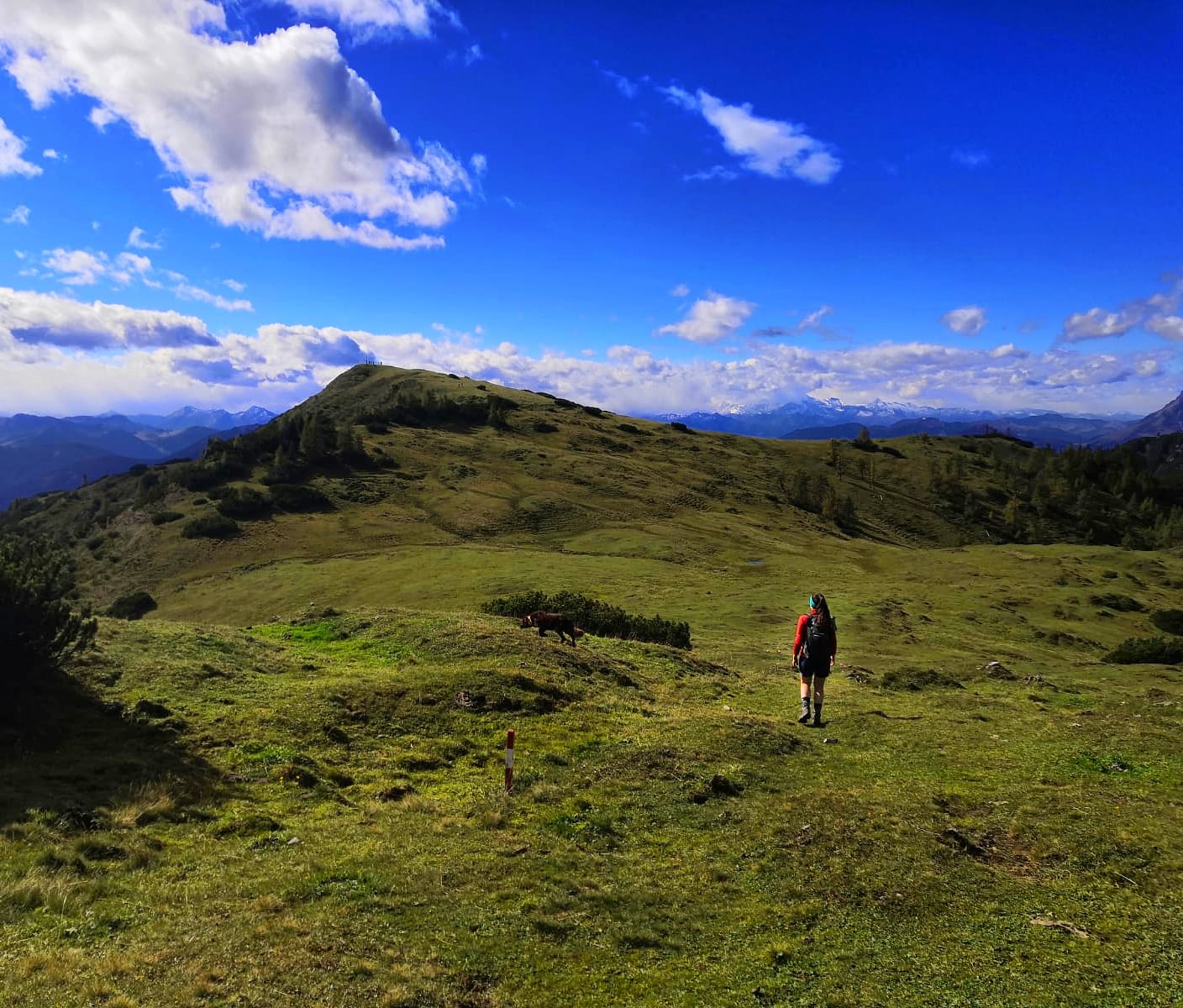 Am Plateau entlang zum Frommer Kogel