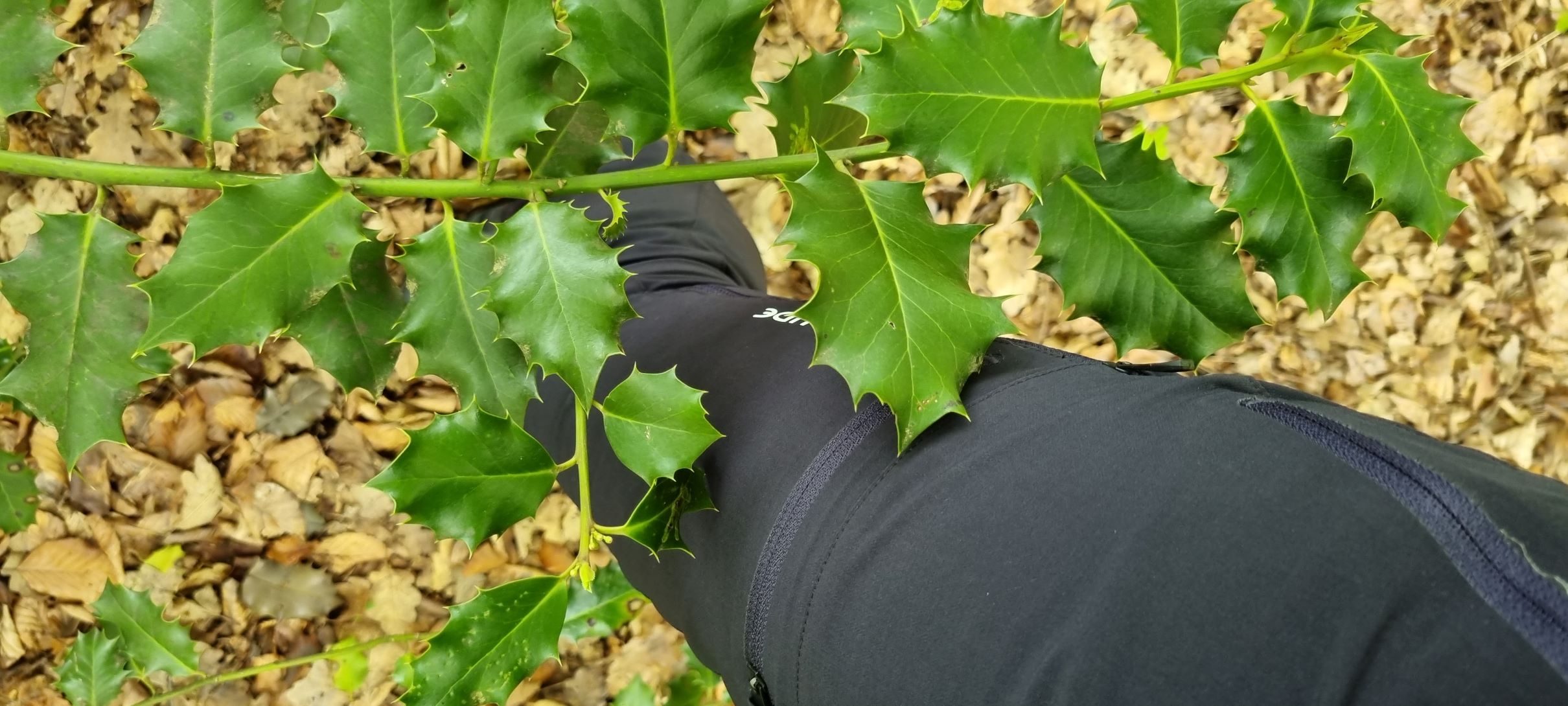 Robust und leicht zugleich