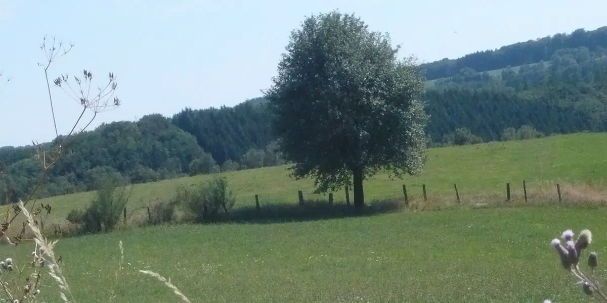 Bergisches Städtedreieck