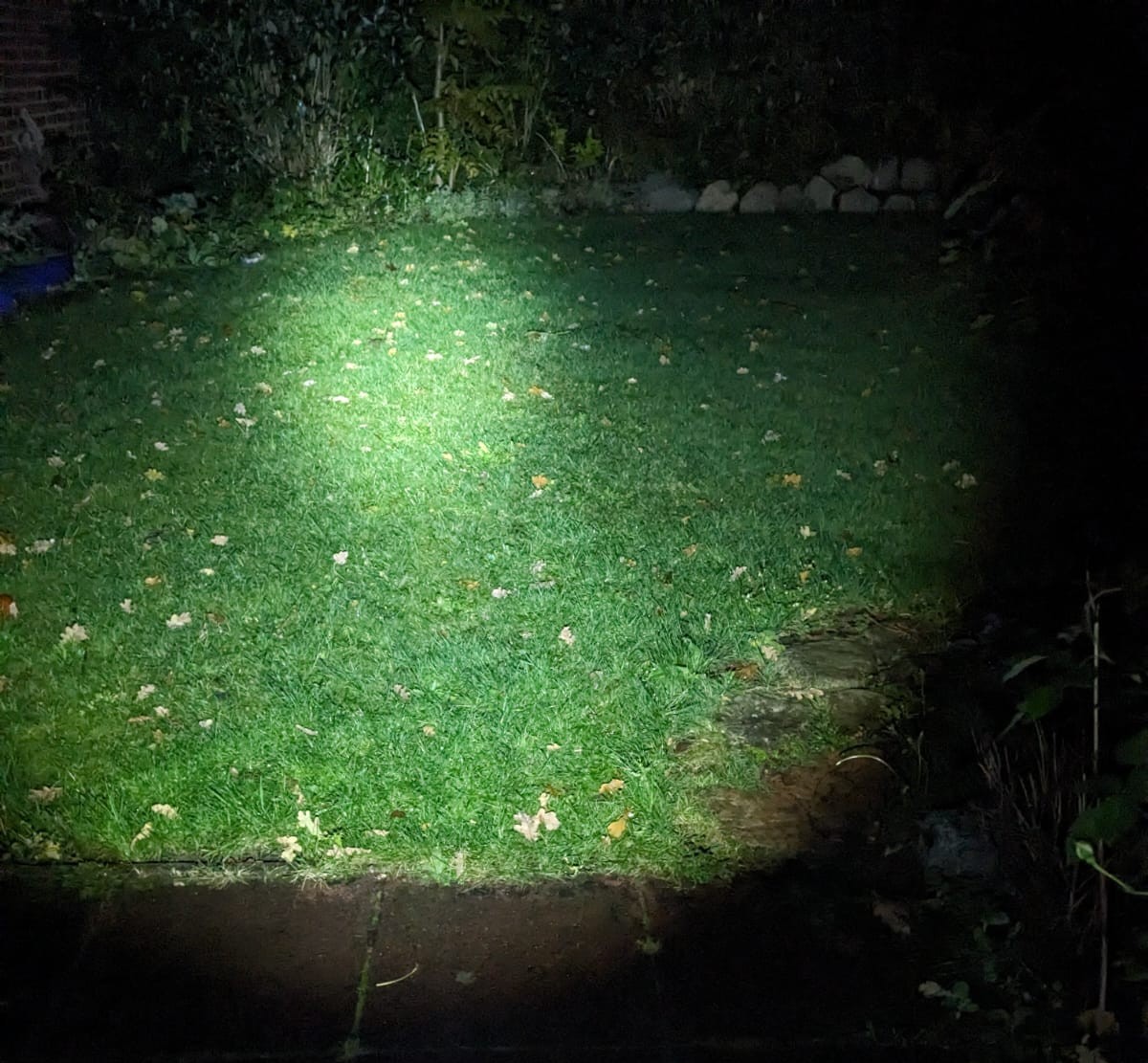 mittel Spotlight