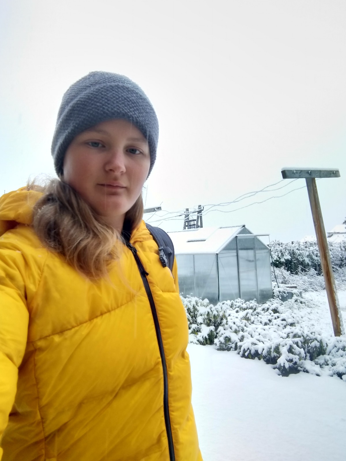 Jakce von vorne im Schnee