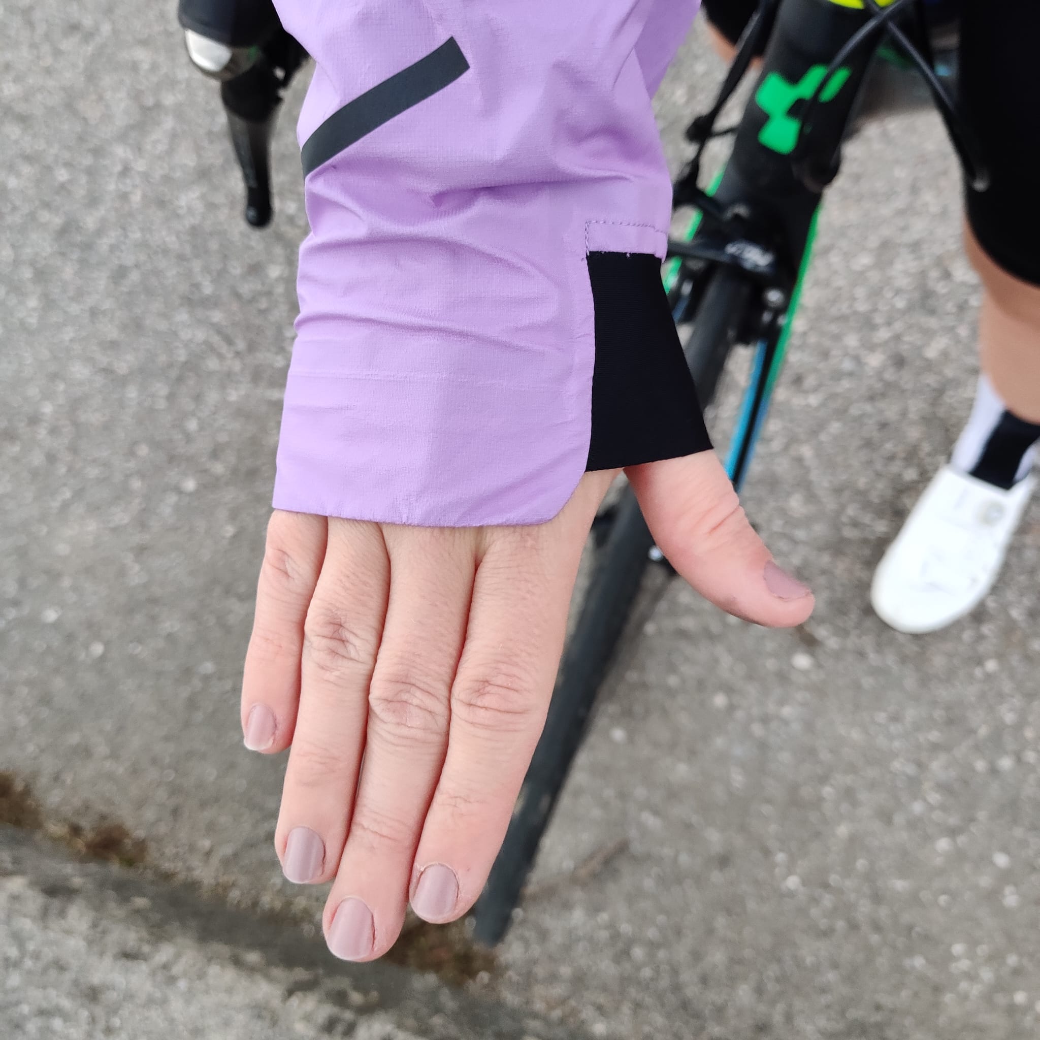 handrücken