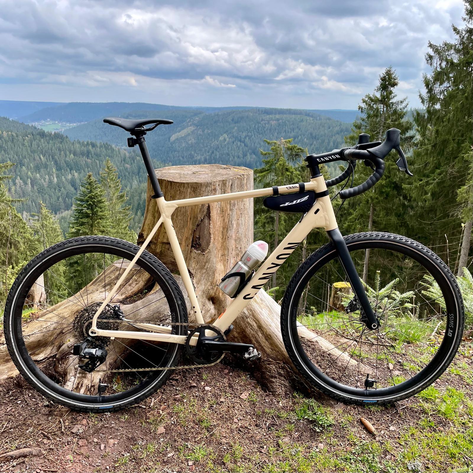 Zu sehen ist das Bike angelehnt an einen Baumstumpf mit dem Schwarzwald im Hintergrund
