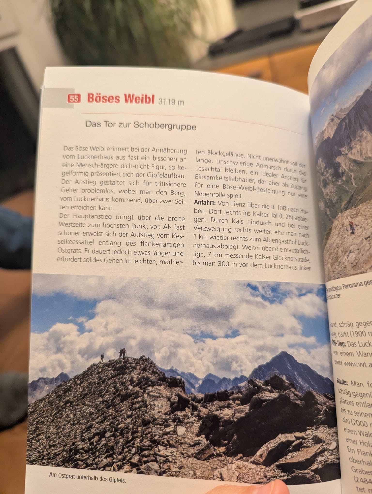 böses weibl