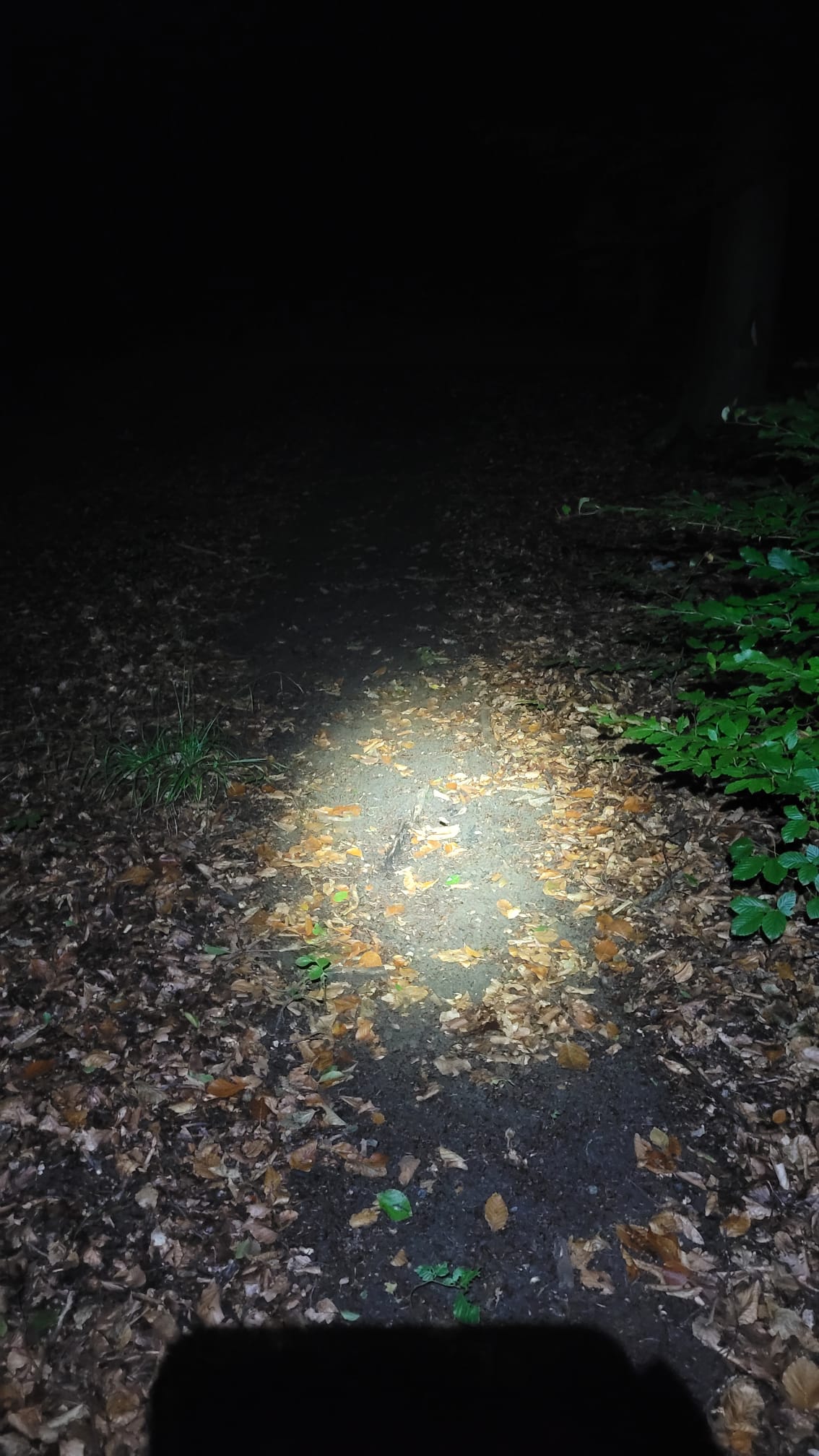 Lichtkegel fokussiert