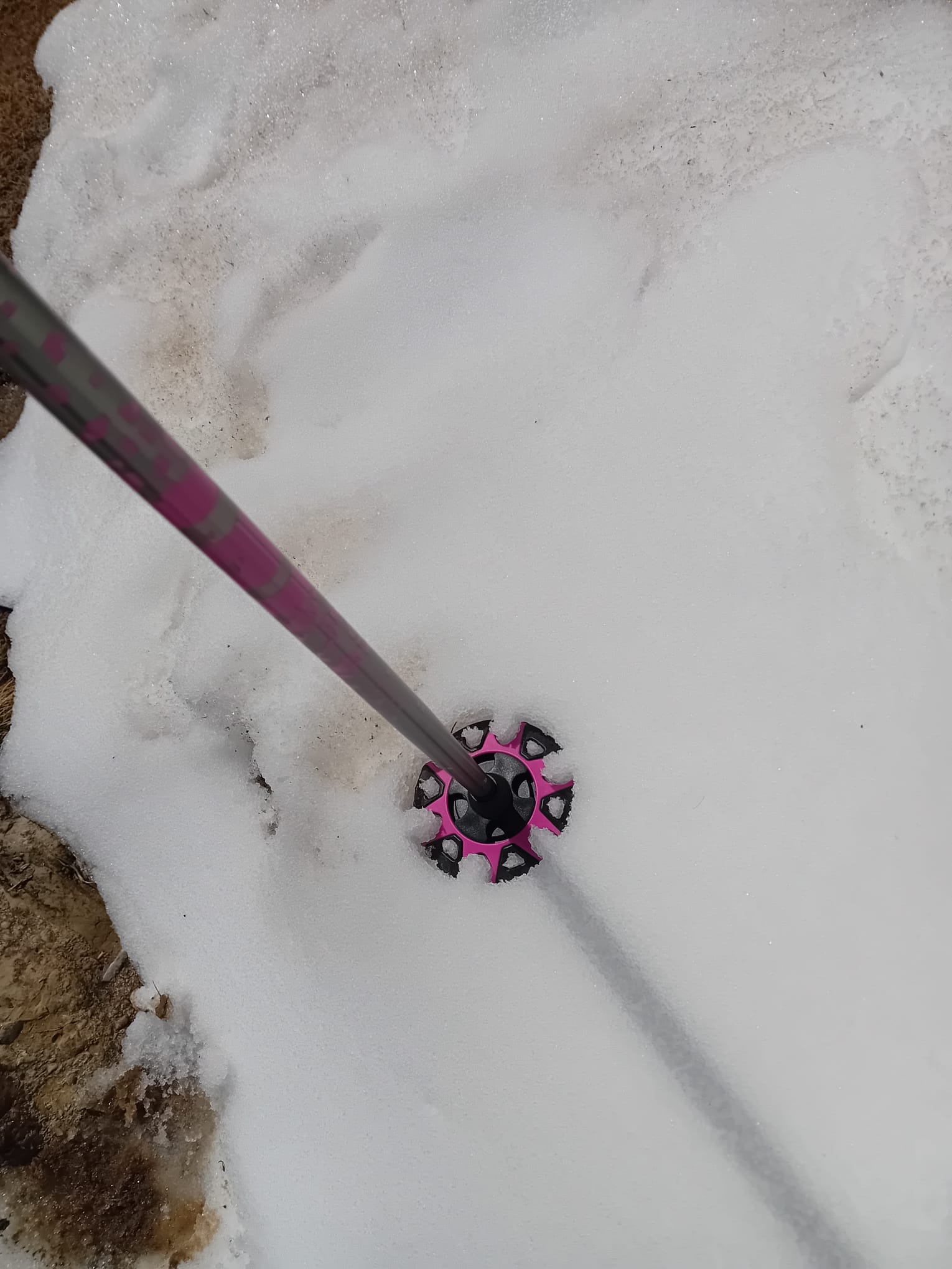 Der kompetente OUTSIDEstories-Test: C.A.M.P. Women's Laser ADJ - Trekkingstöcke