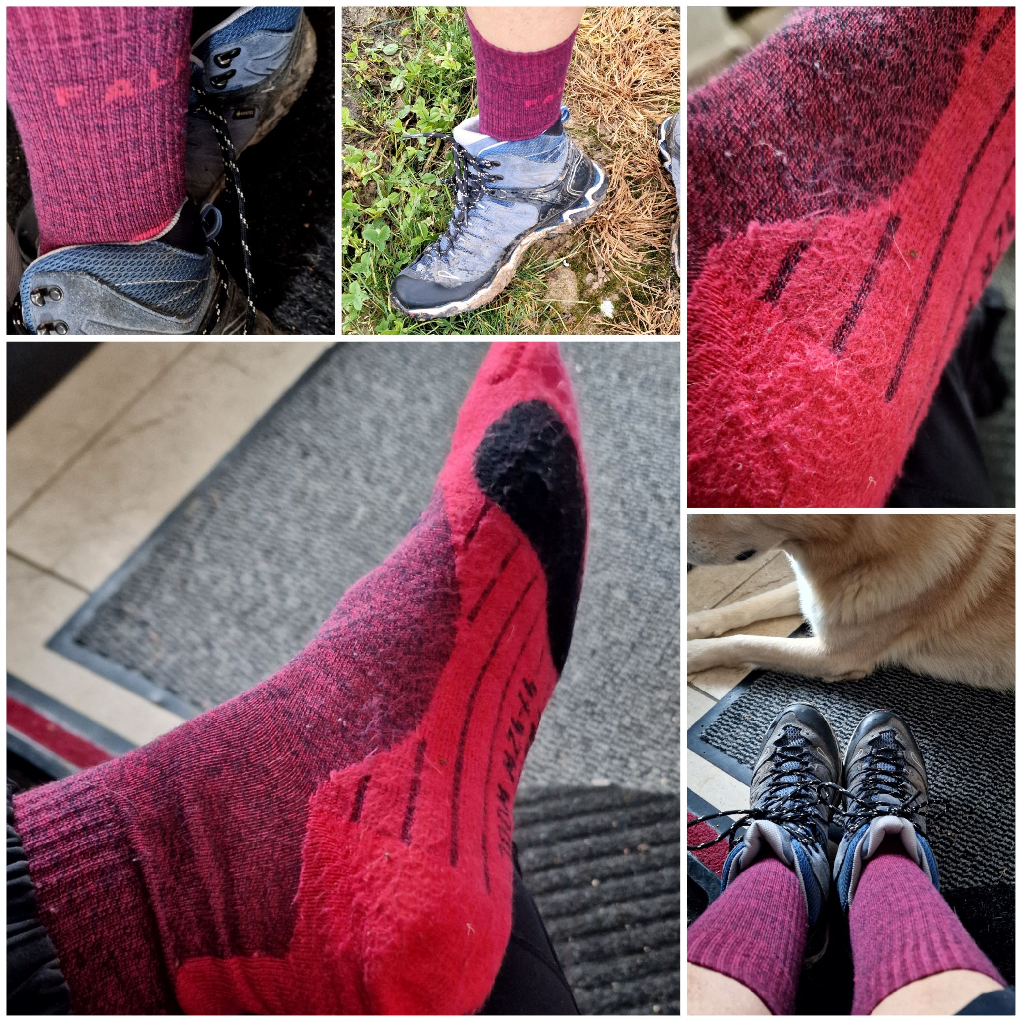 Ich habe die TK2 Explore Wool Damen Trekking Socken 6 Wochen sehr intensive getestet.