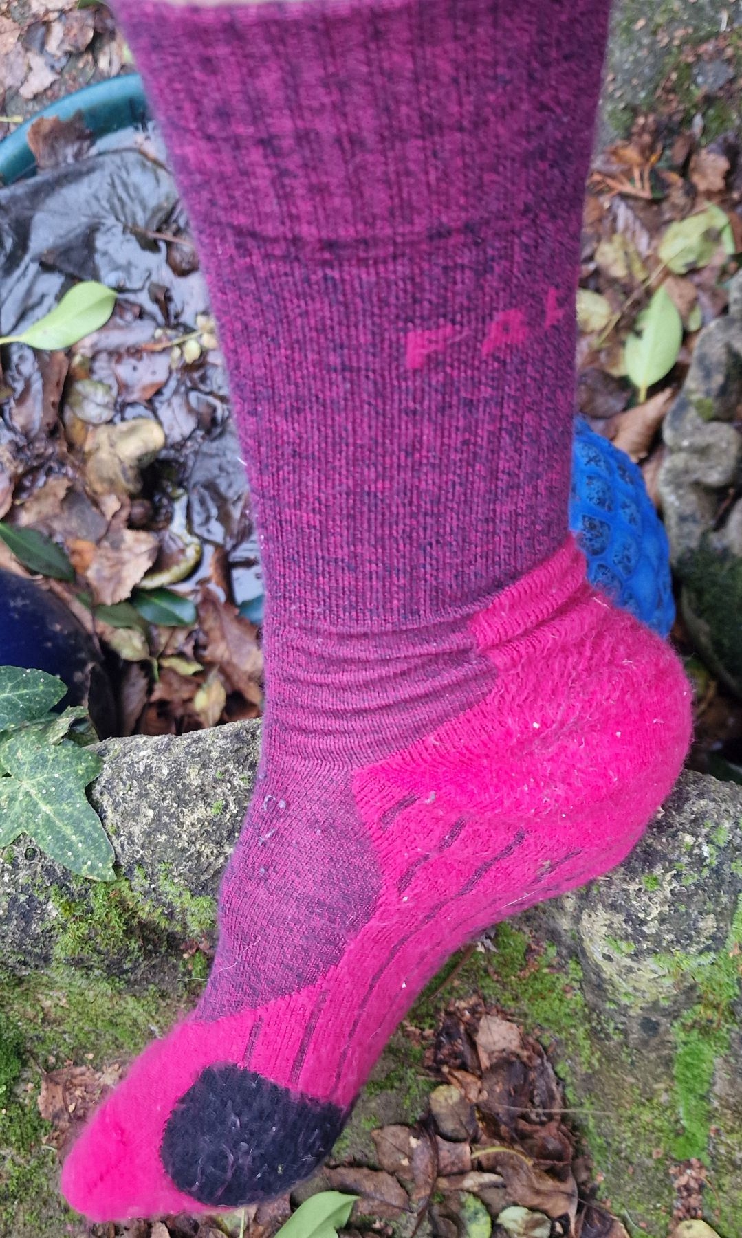 Ich bin sehr begeistert von den luxuriösen Wollsocken von Falke