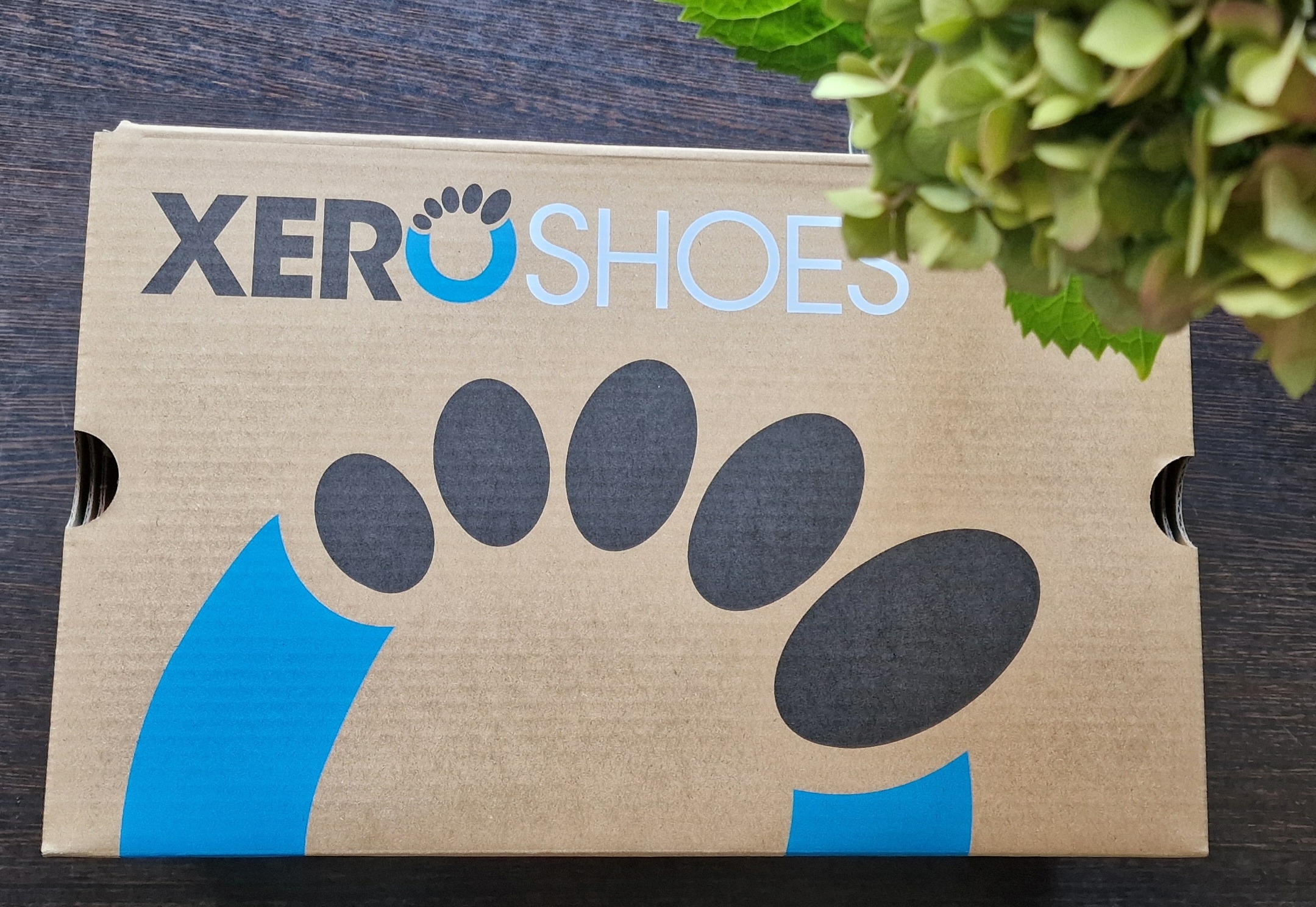 Der Schuhkarton 