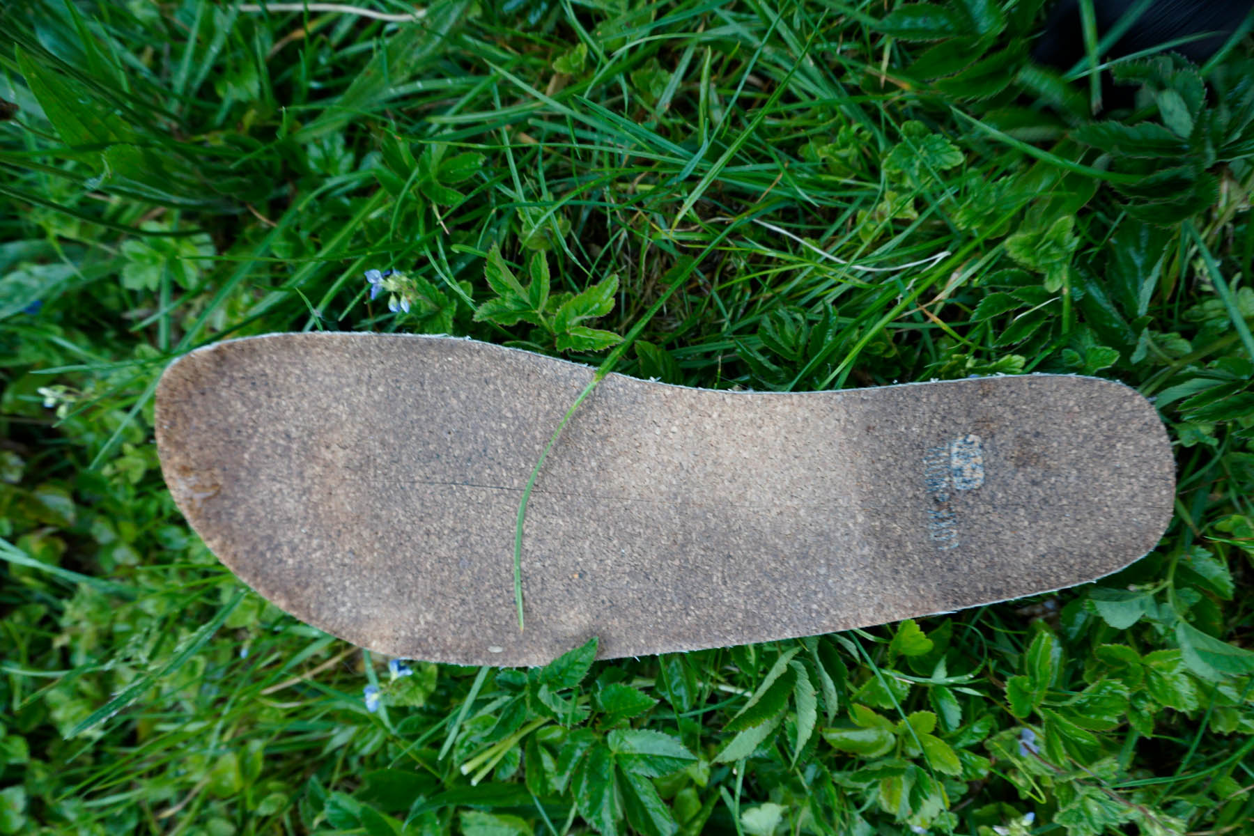 DOGHAMMERTerrar Rock Wool - Barfuß-Wanderschuhe