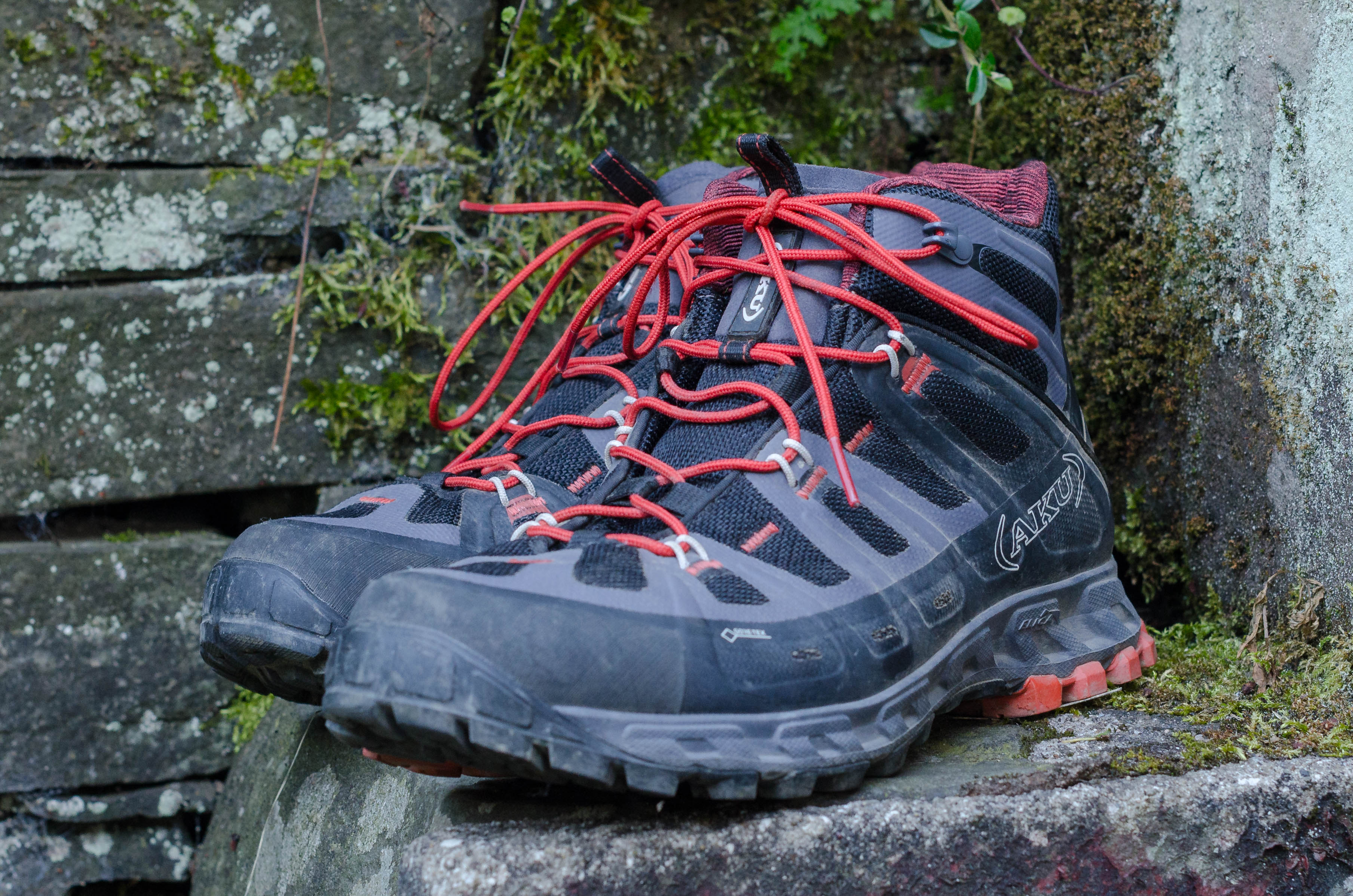 selvatica mid