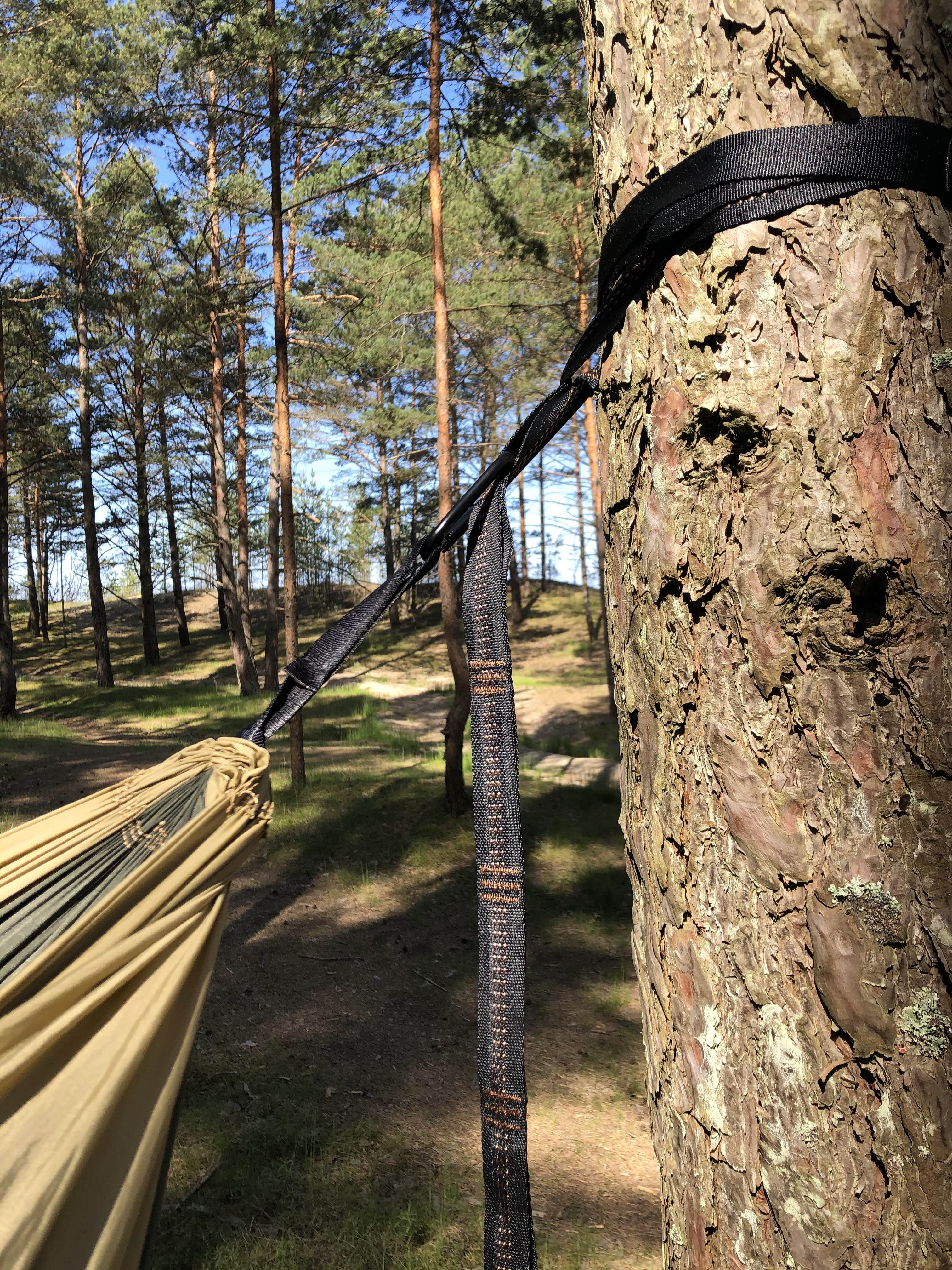 Am Baum