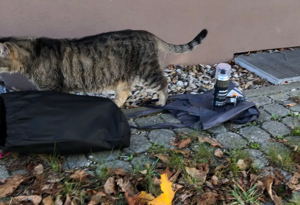 Antidot mit Katze