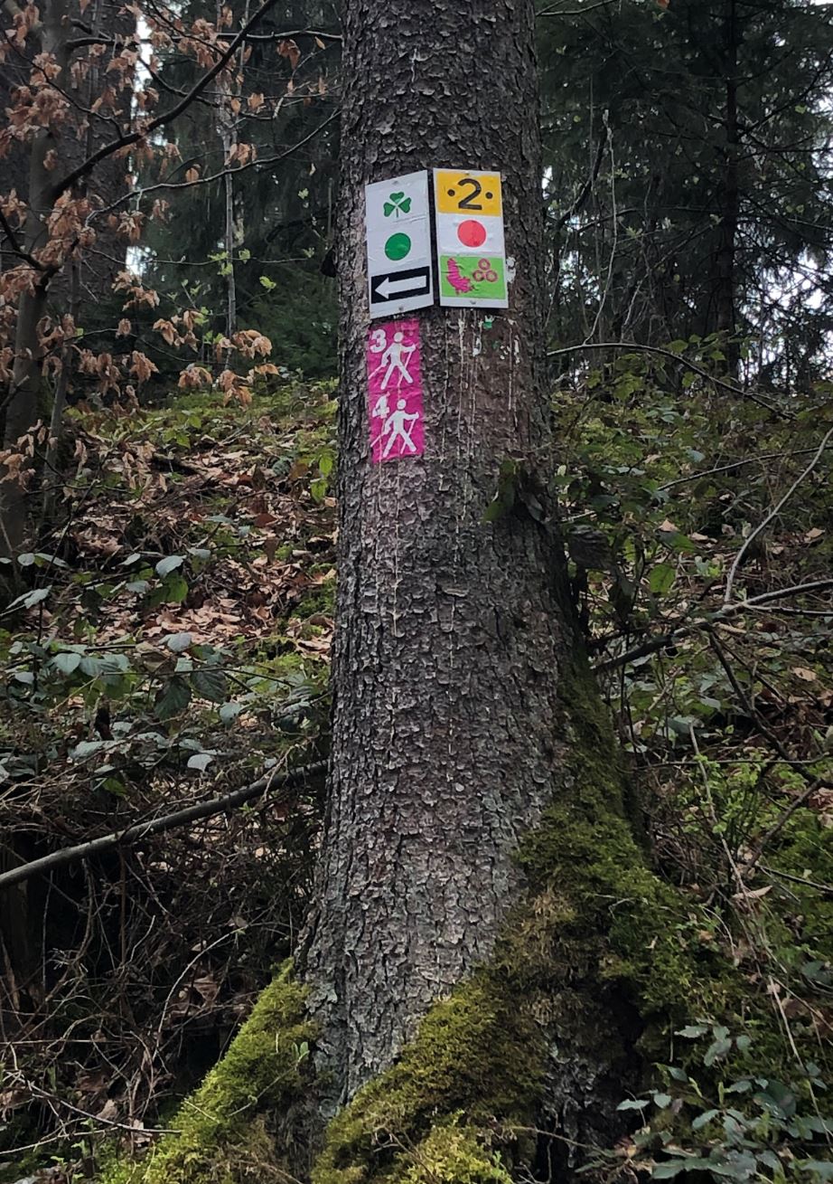 Beispiel für gute Wegmarkierung