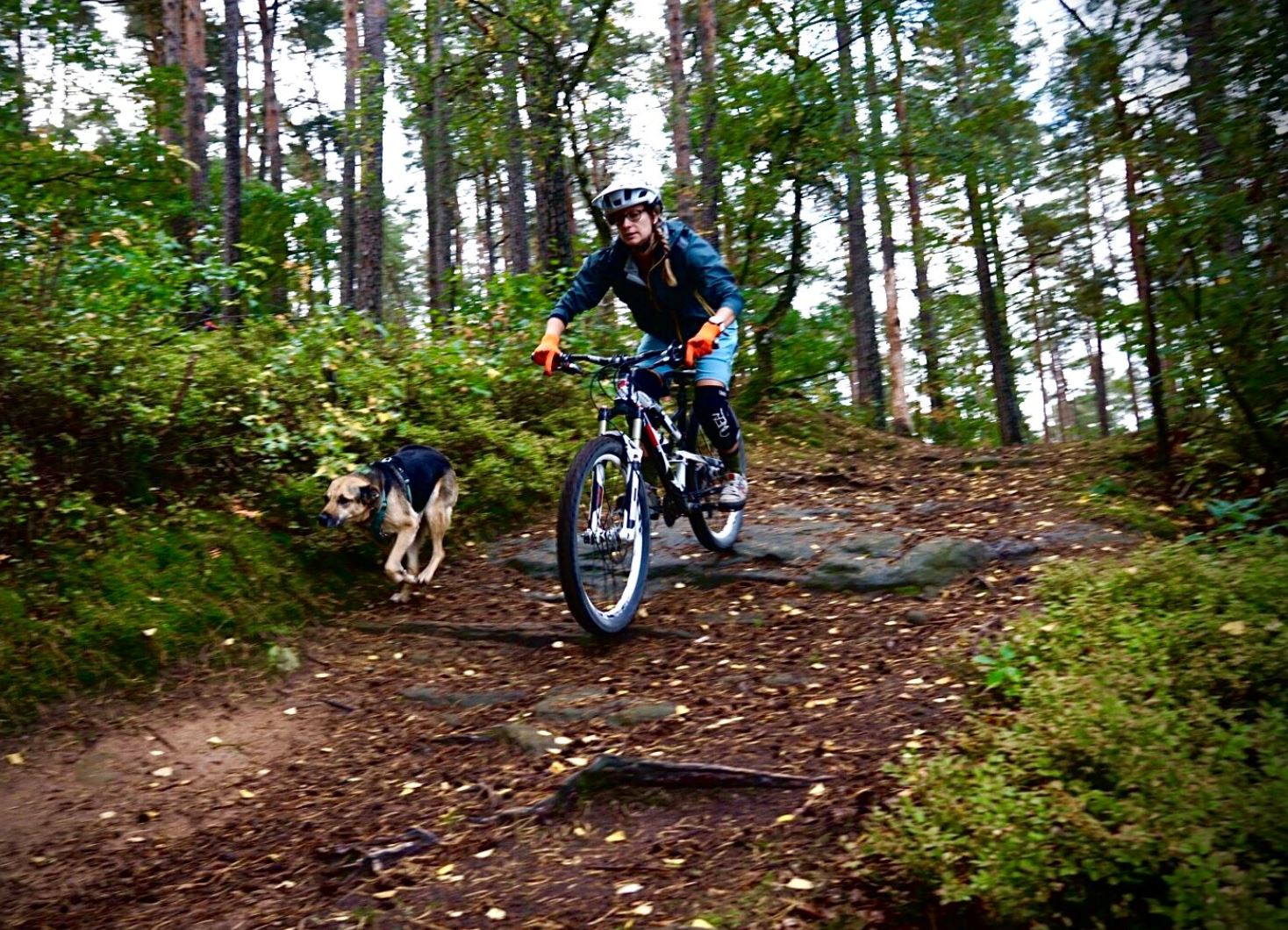 beim Biken