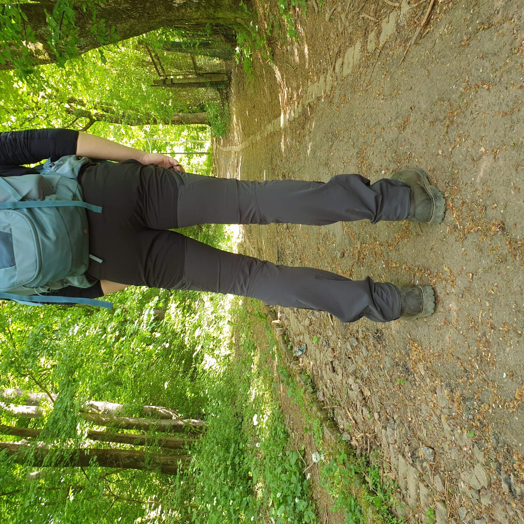 Gesamt3