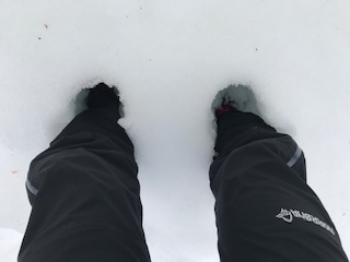 schnee