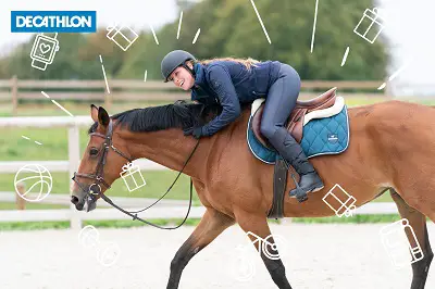 Reitausrüstung online kaufen