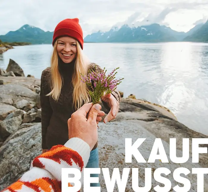 Kinderanhänger online kaufen
