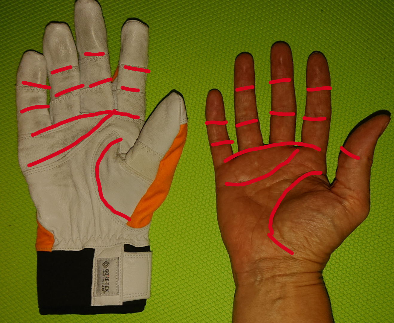 Handschuh vs. echte Hand