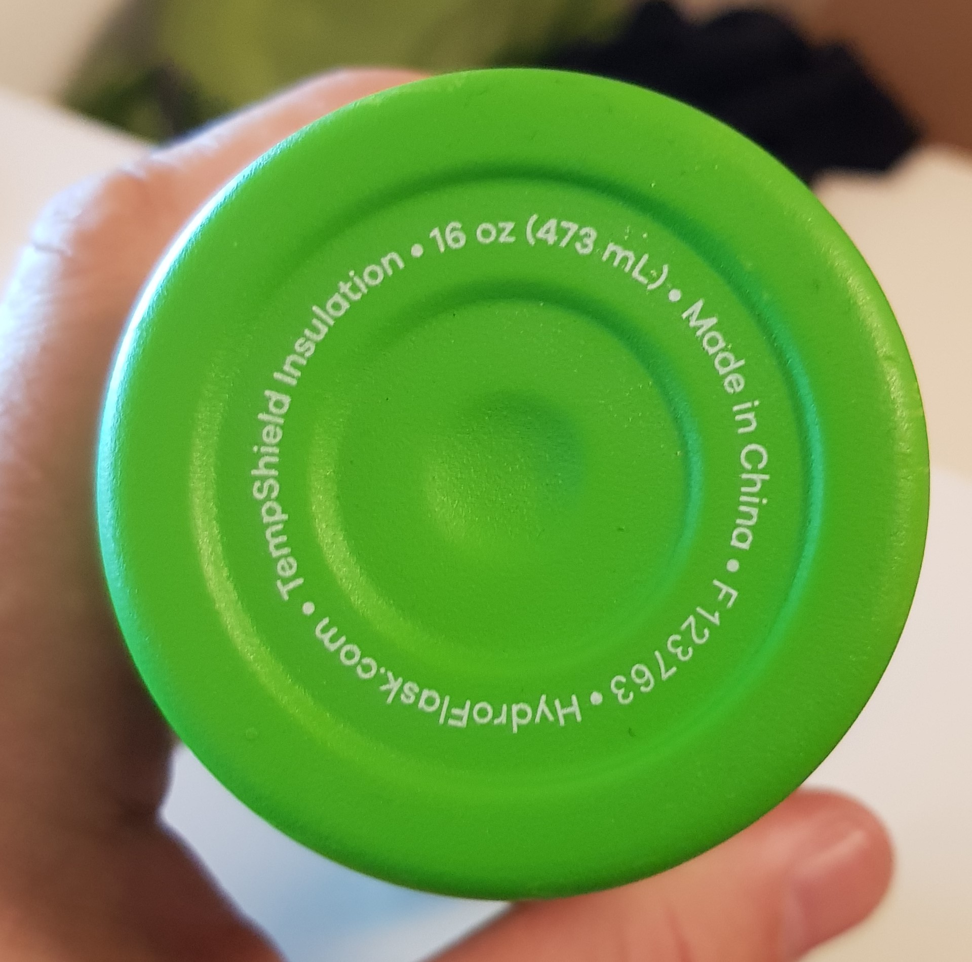 Hydro Flask True Pint Boden